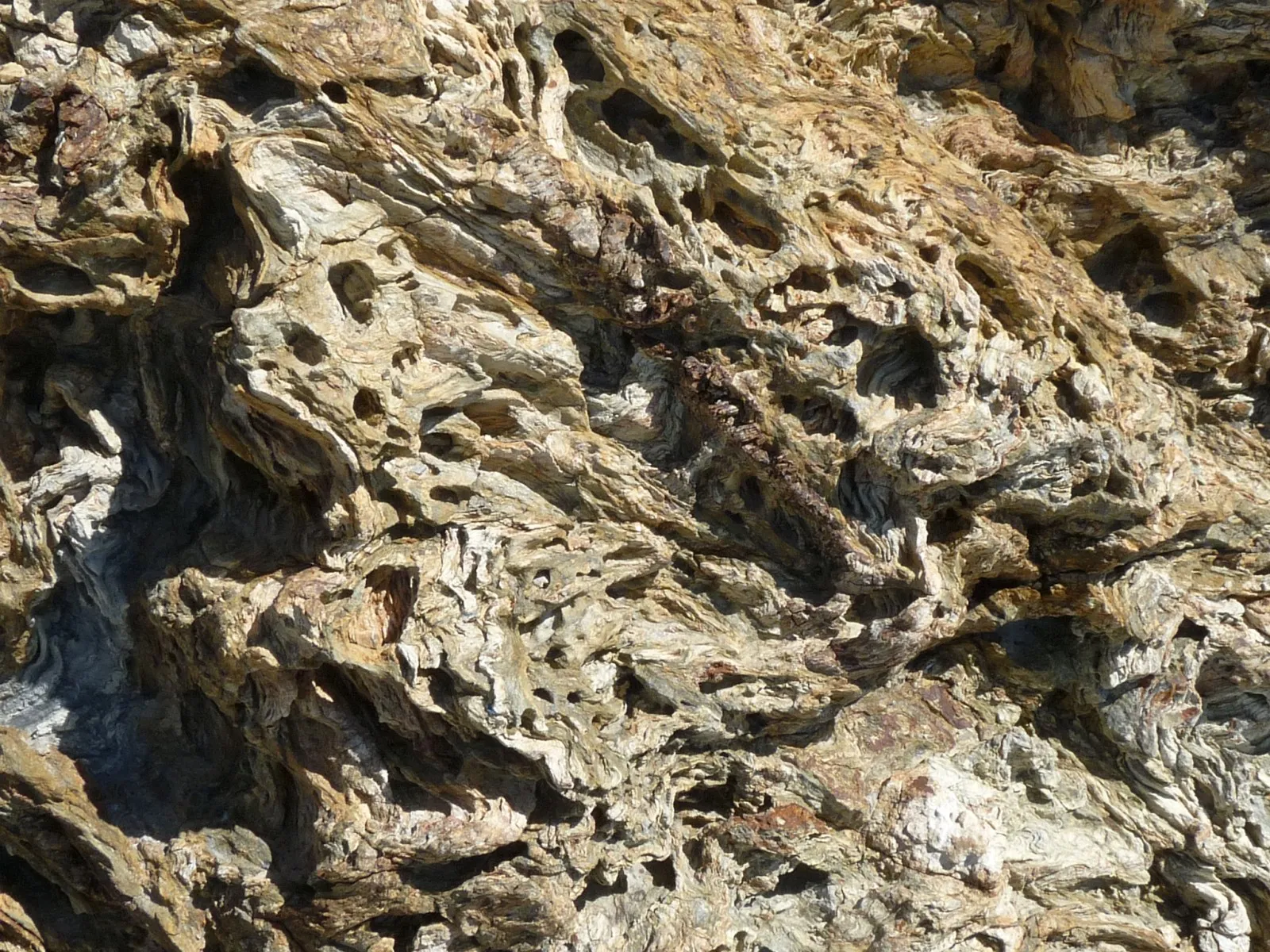 Photo showing: Rock half-limestone, half-volcanic, proterozoic supposed (geological map, but small scale), seaside of Banyuls-sur-Mer, south France