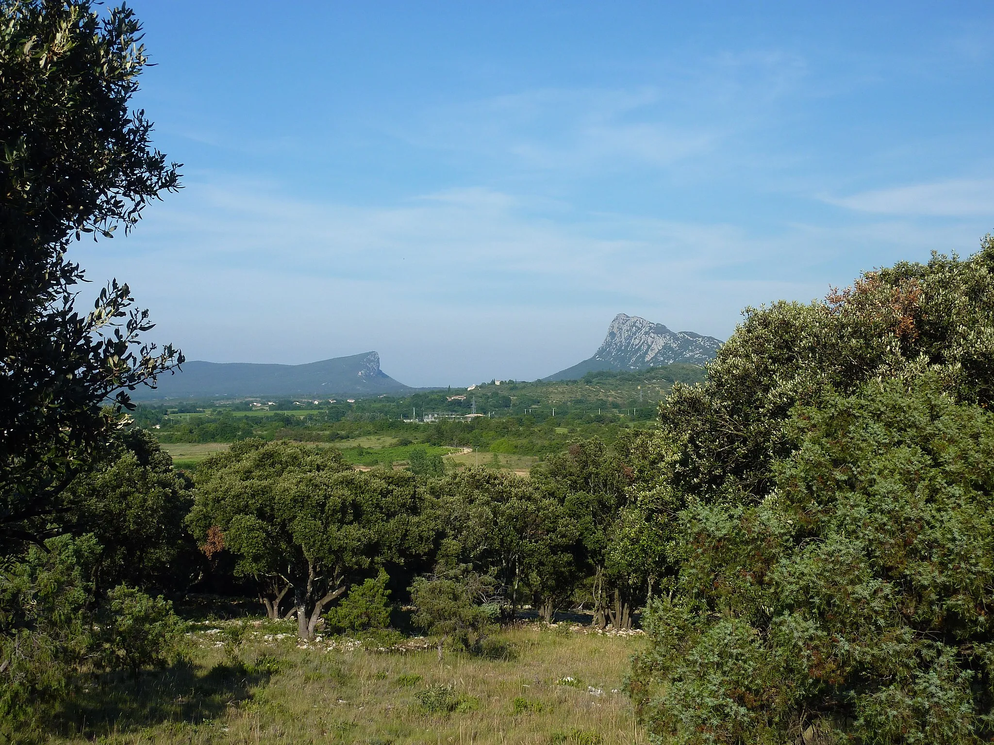 Photo showing: Le pic Saint-Loup et la montagne d'Hortus vus du mas de Bouis en Saint-Martin-de-Londres 2