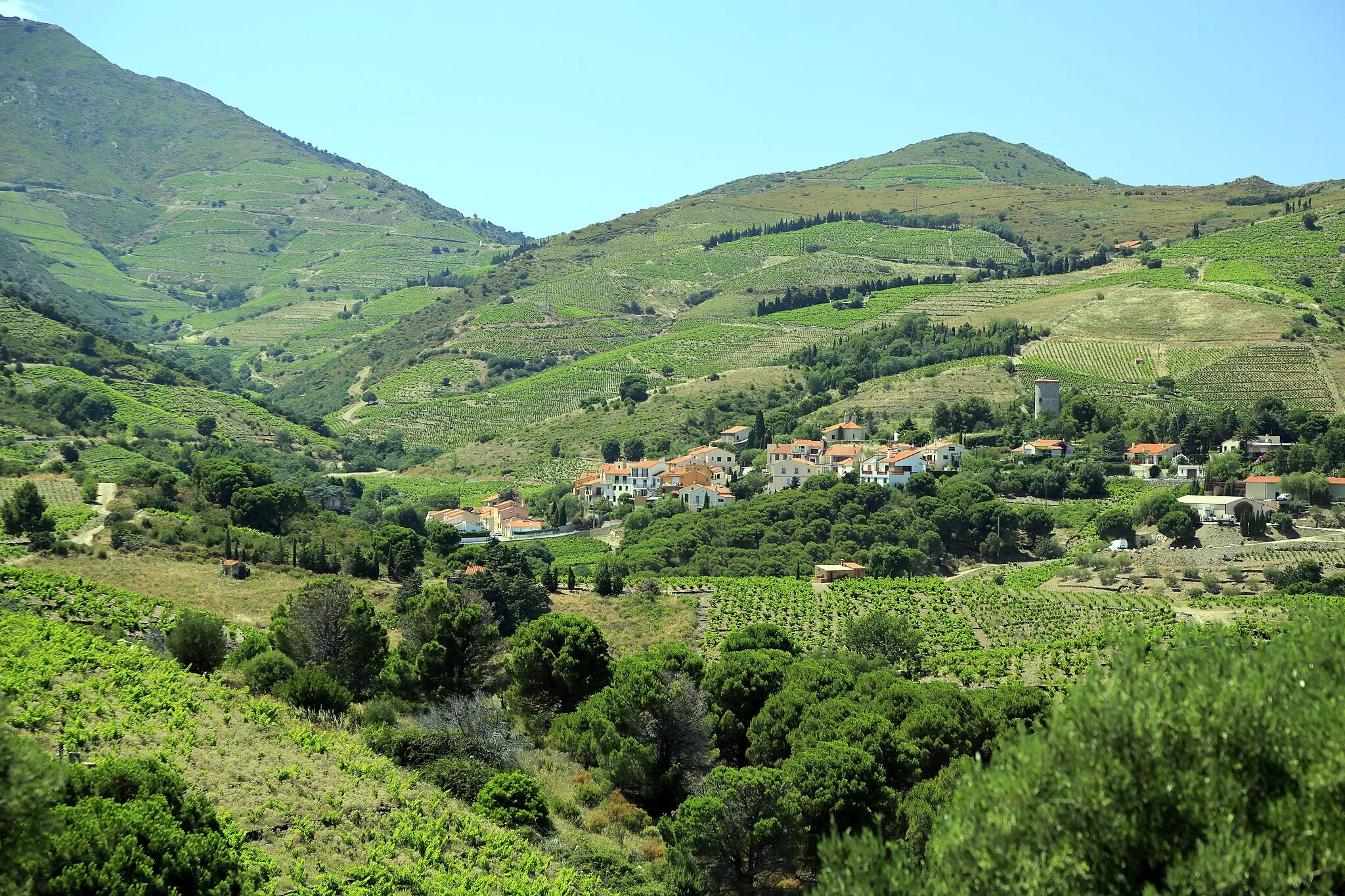 Photo showing: Von der Departementsstraße D 914 zwischen Banyuls-sur-Mer und Port Vendres, der Weiler Cosprons liegt landeinwärts von der Eisenbahnstrecke Narbonne–Portbou und der Küstenstraße.