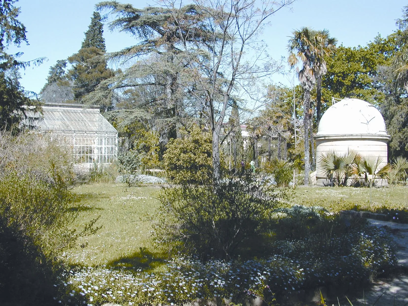 Photo showing: Le Jardin des Plantes de Montpellier
Photographie personnelle prise en mai 2005