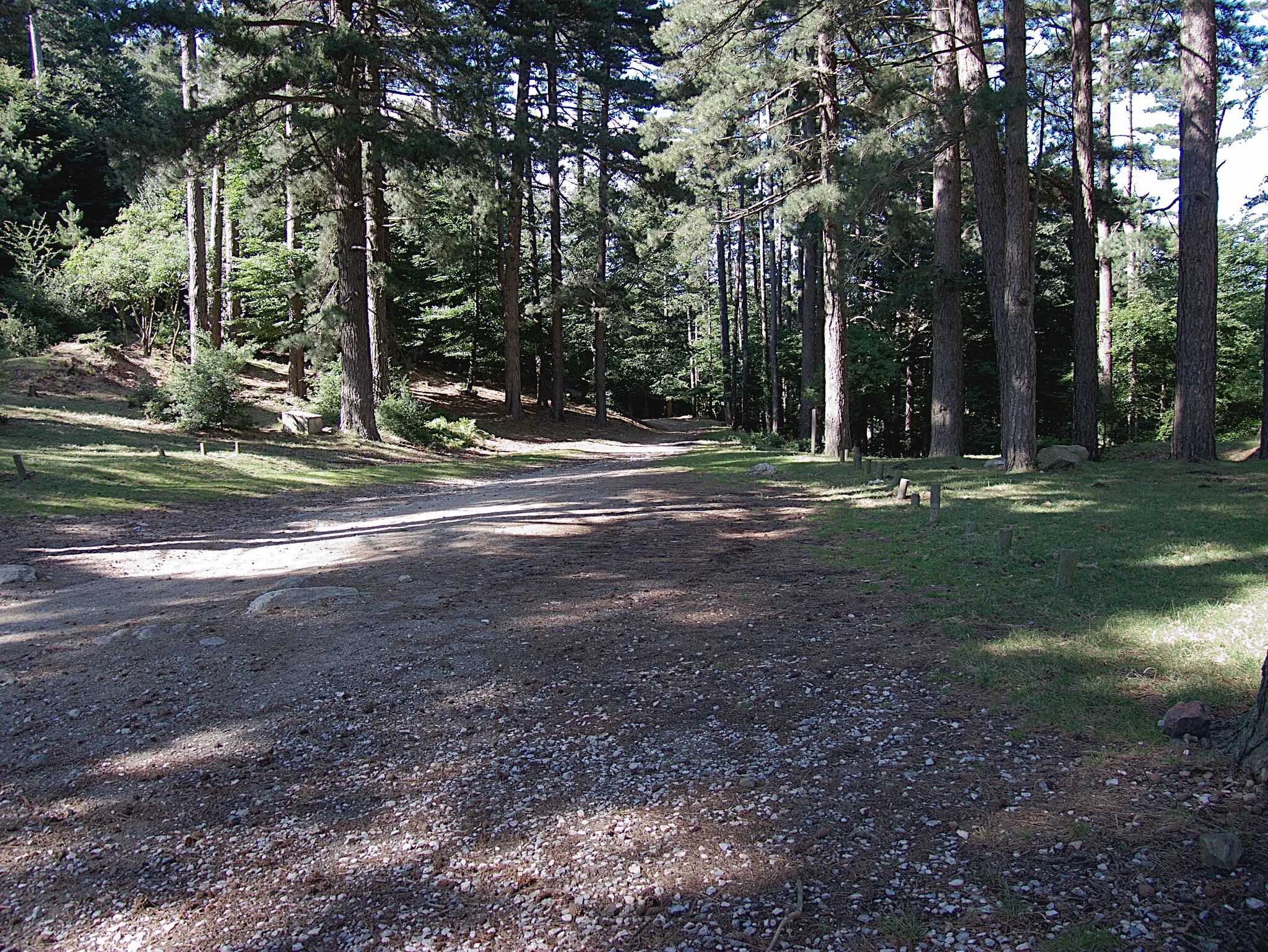 Photo showing: Sentier en direction de Laroque-des-Albère, Col de l'Ullat, Montesquieu des Albères (Pyrénées-Orientales, Languedoc-Roussillon, France), Laroque-des-Albères (Pyrénées-Orientales, Languedoc-Roussillon, France)