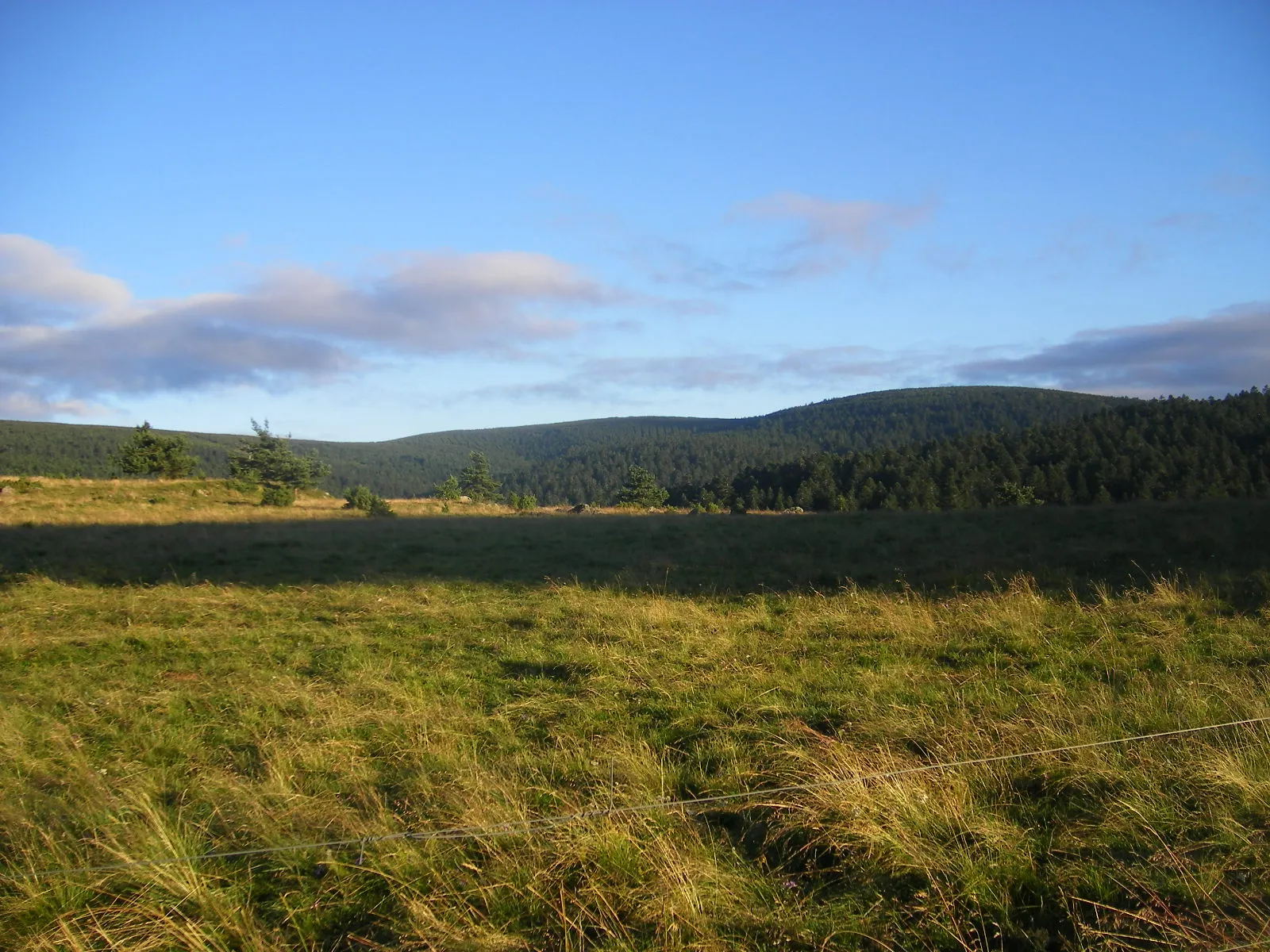 Photo showing: Western side of the Mont Mouchet (commune Pinols) at dusk