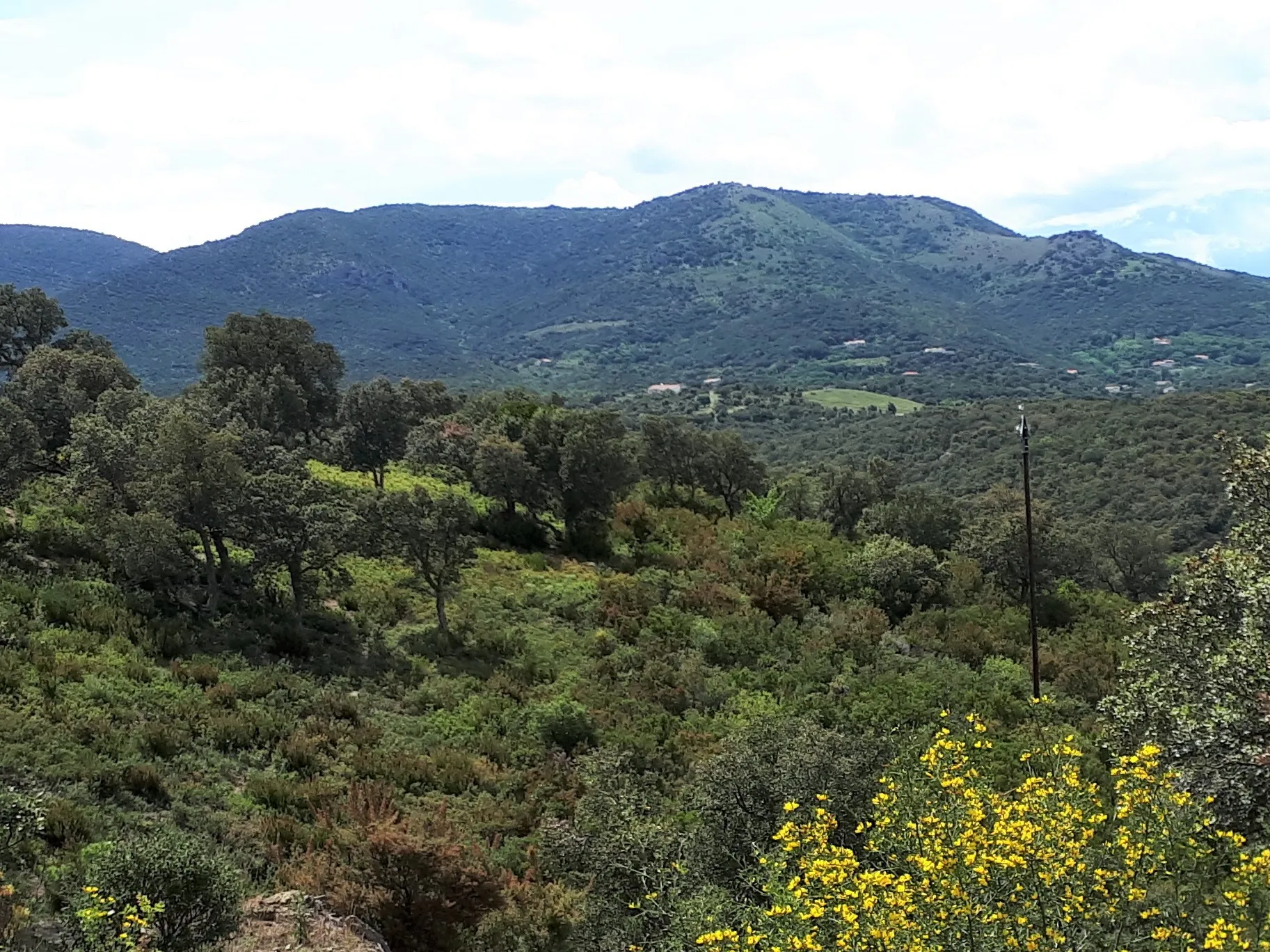 Photo showing: Le mont Helena, altitude 770m, les Aspres, commune de Caixas, Pyrénées-Orientales, vu de l'est; calcaires dévoniens.[1][2]