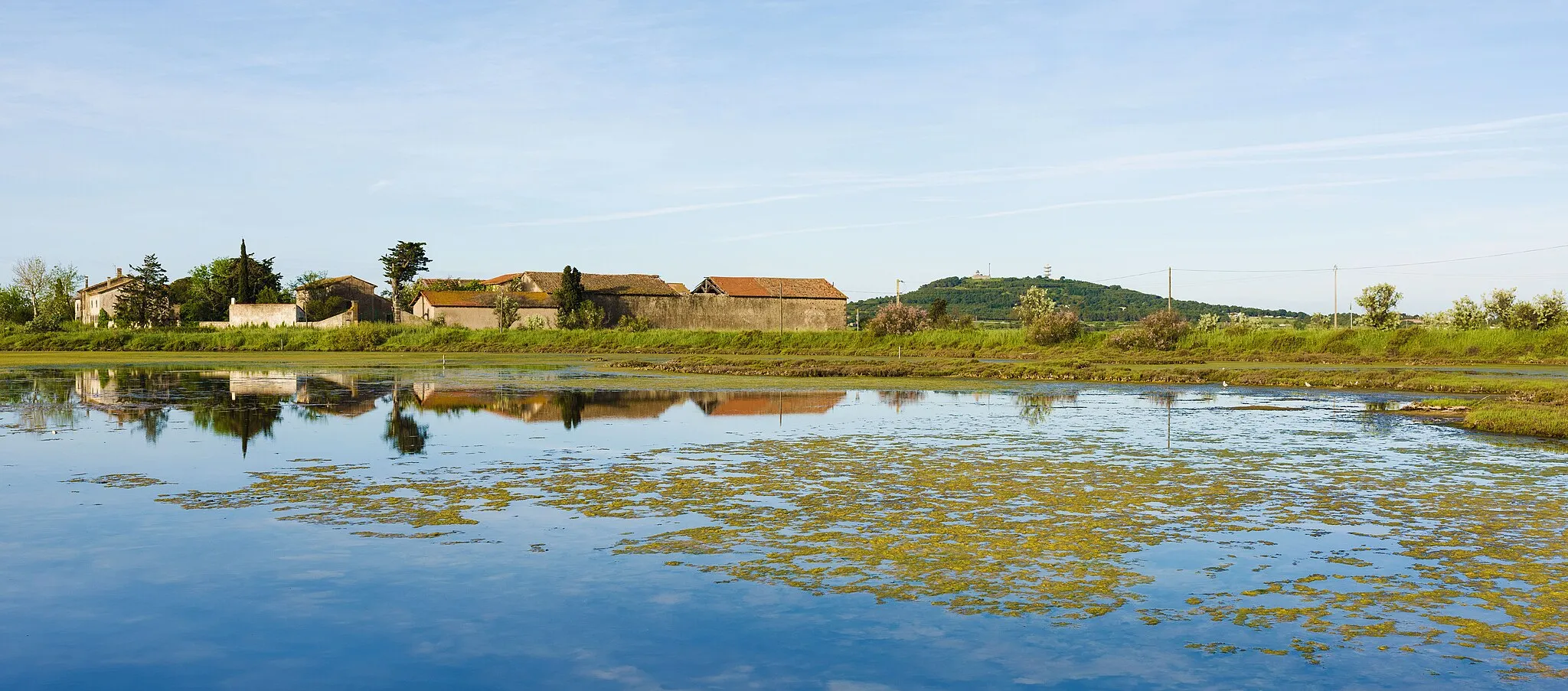 Photo showing: The house of the "Réserve naturelle nationale du Bagnas" (Bagnas National Nature Reserve), house situated in the commune of Agde, is reflected in the Rieu inlet. On the surface of the water there is seen green algae of the family Characeae (Charophyceae). Photo taken from the Northeast in the commune of Marseillan. Hérault, France.