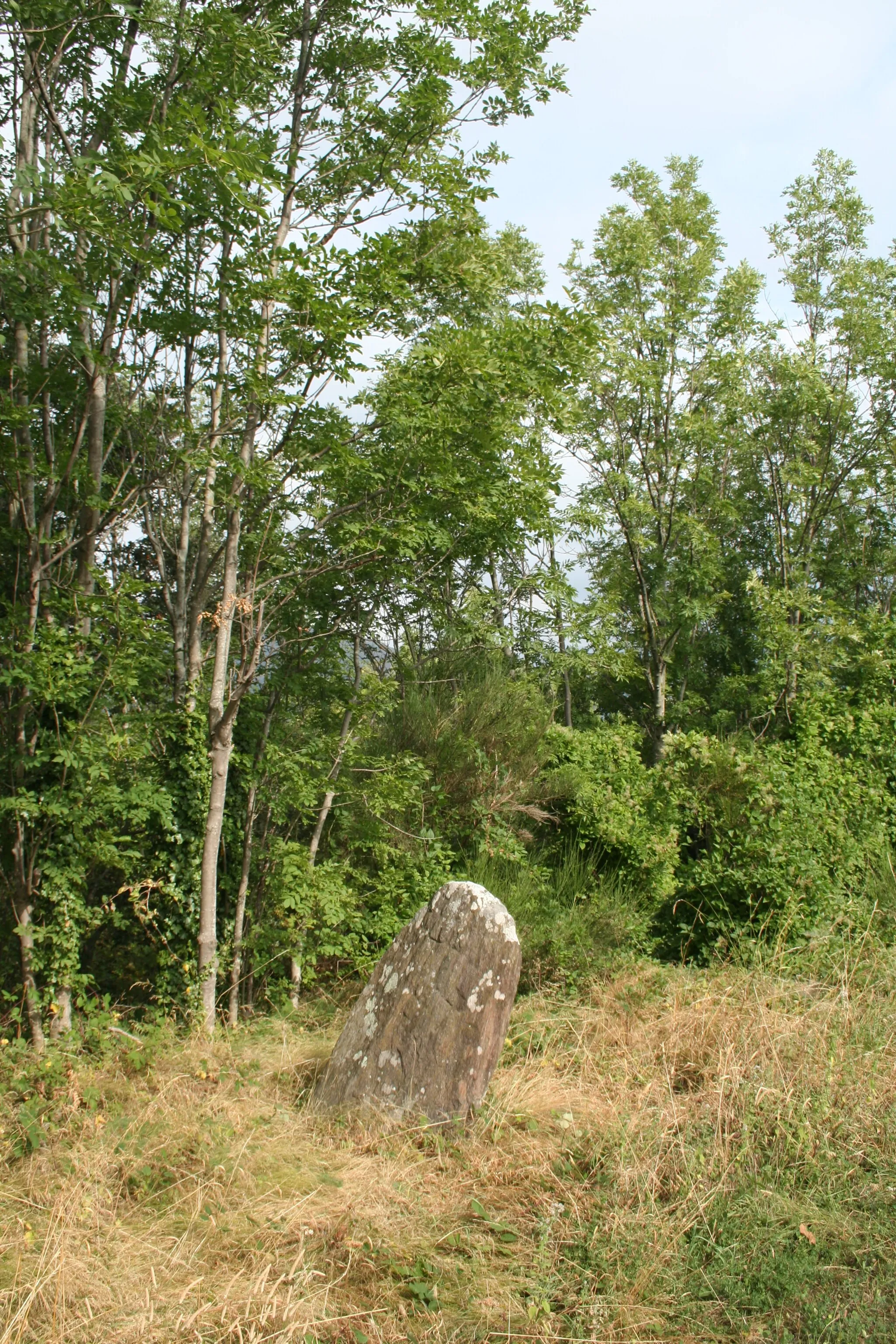 Photo showing: Rosis (Hérault) - col de la Pierre Plantée, menhir, à la limite de Saint-Gervais-sur-Mare