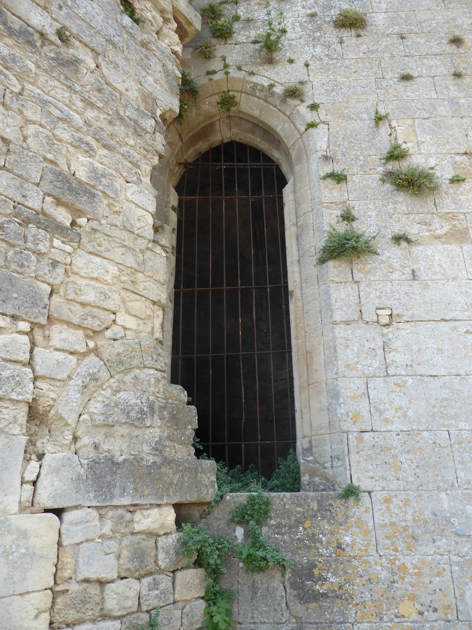 Photo showing: Collegiale-Citadelle de Pont-Saint-Esprit