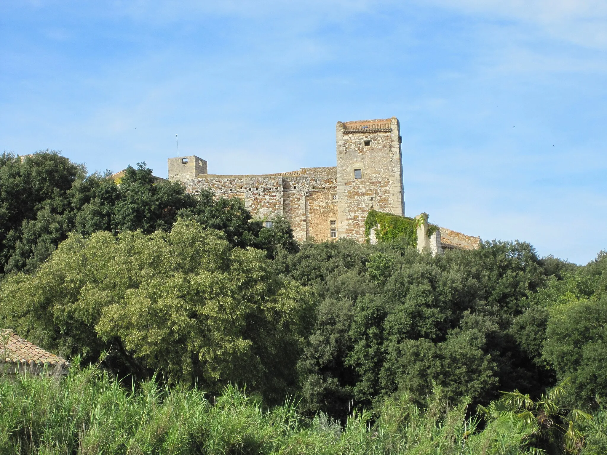 Photo showing: Die Burg von La Capelle-et-Masmolène.
