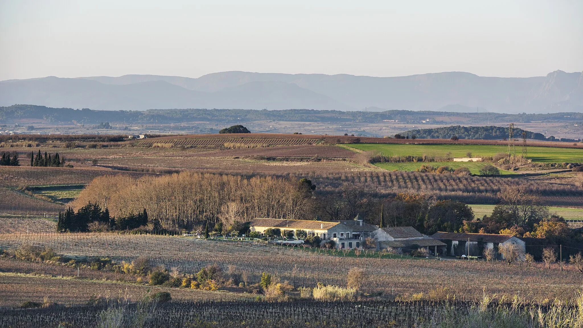 Photo showing: Landscape in the commune of Montady, Hérault, France