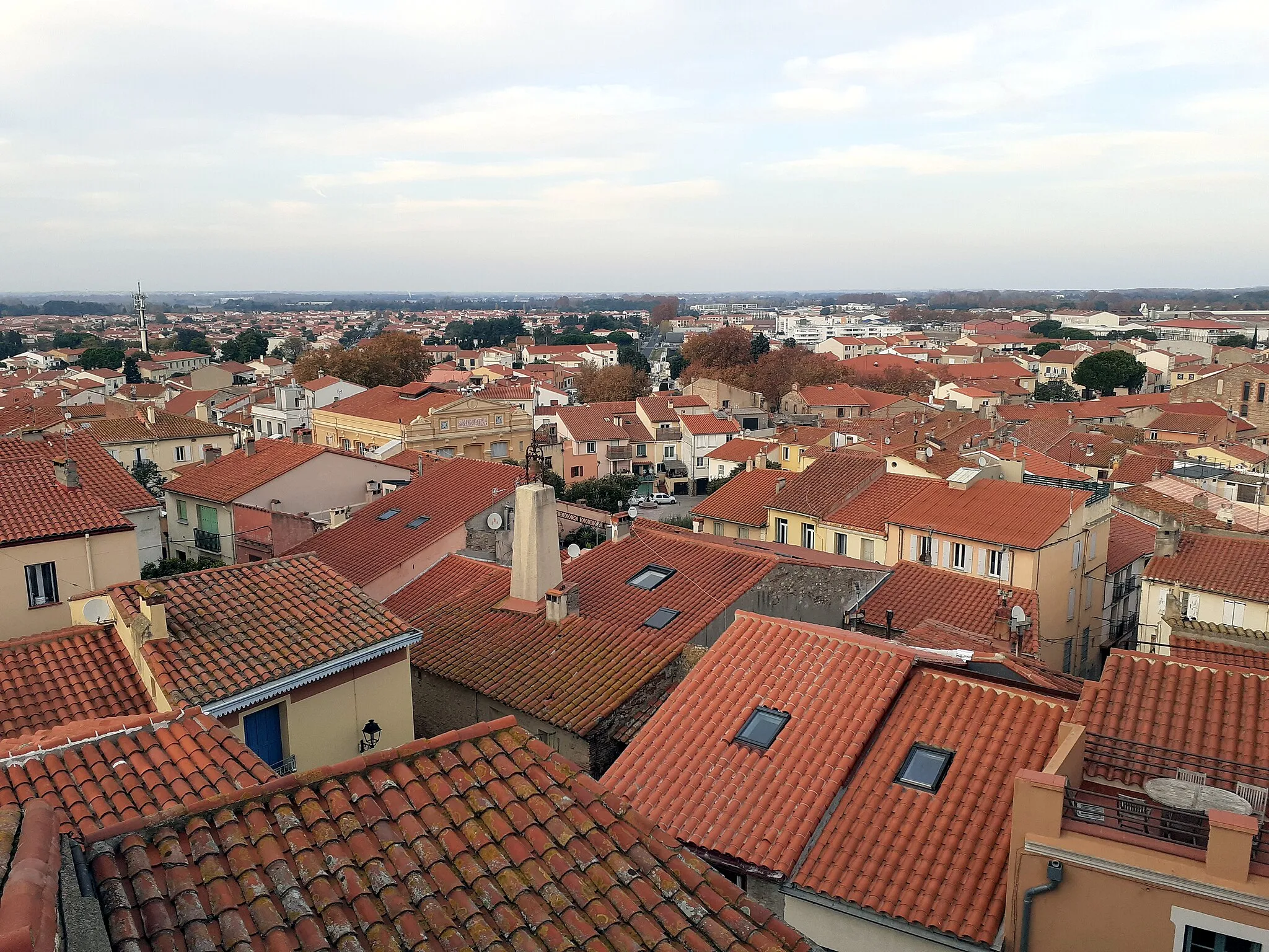 Photo showing: Vista d'Elna de la catedral estant