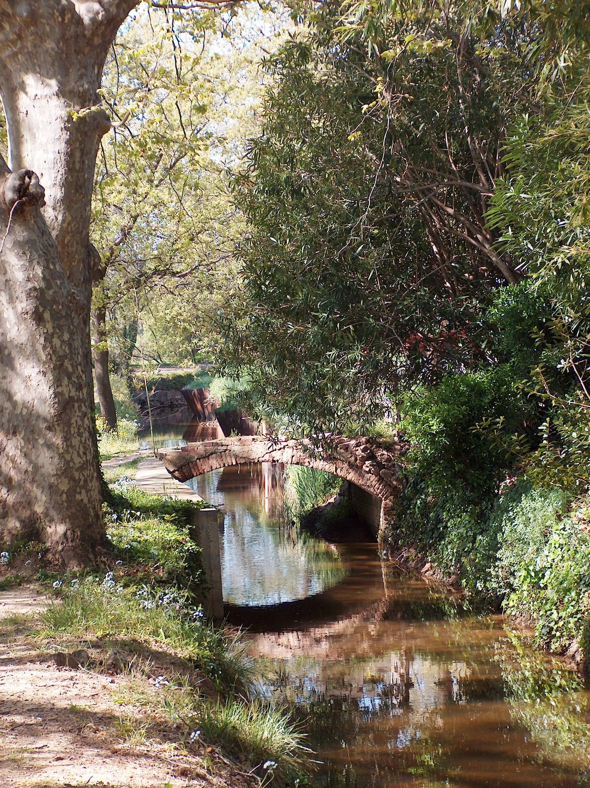 Photo showing: Détail du canal d'irrigation de Perpignan "Las Canals" qui prend sa source à Ille-sur-Têt