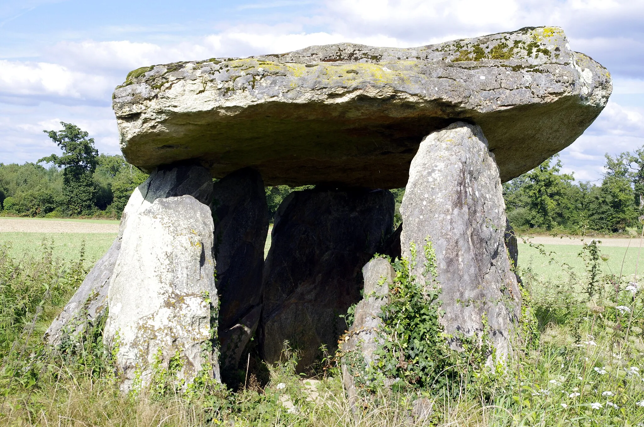 Photo showing: Dolmen près de Breuilaufa, dolmen de la Betoulle (no 2).