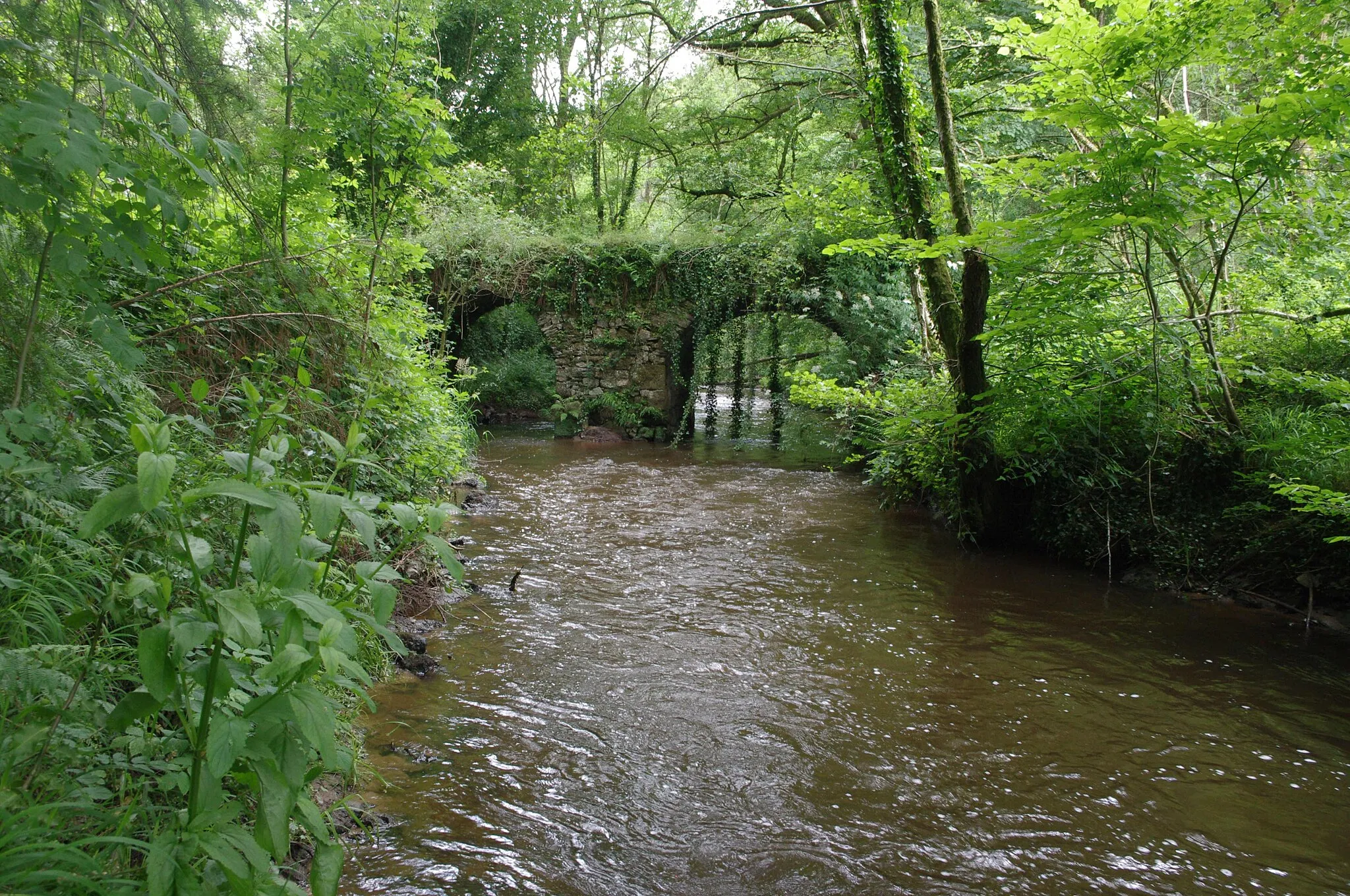 Photo showing: Le pont du Moulin du Pont, aussi appelé localement "pont romain" sur la Tardoire, à la limite de Saint-Mathieu et Saint-Bazile, Haute-Vienne, France. Vue depuis la rive côté St Bazile.