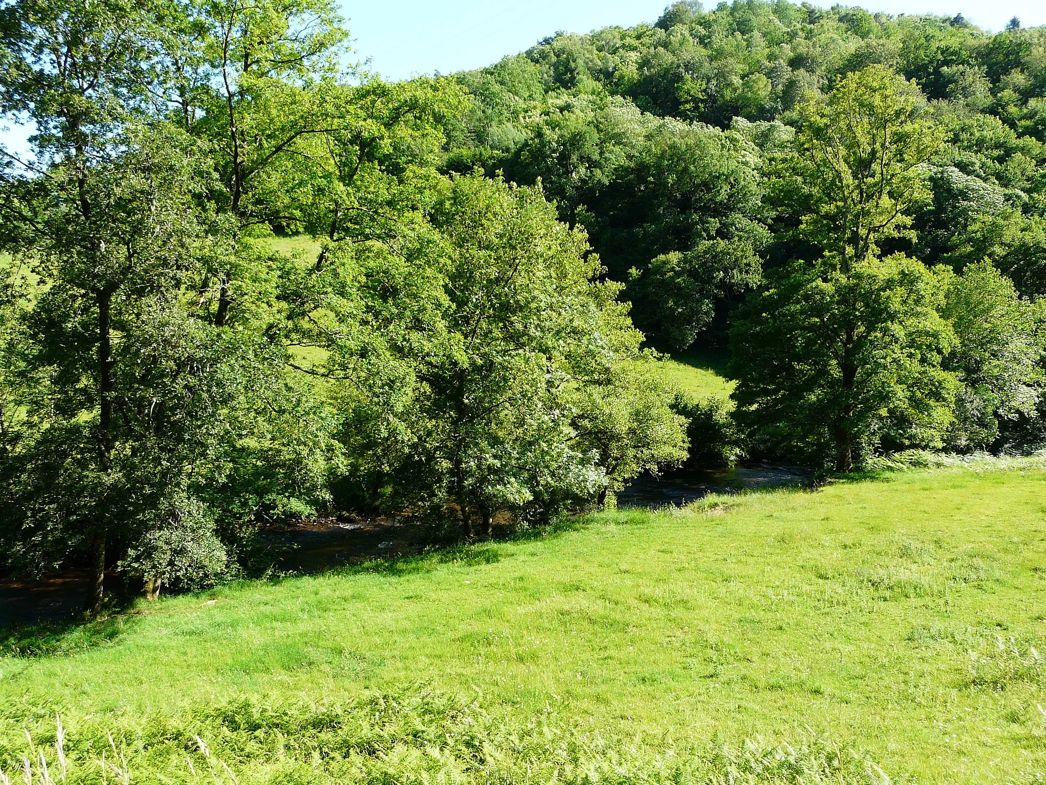 Photo showing: La vallée de la Rouanne le long de la route départementale 14, près du lieu-dit les Rasclies, Dampniat, Corrèze, France