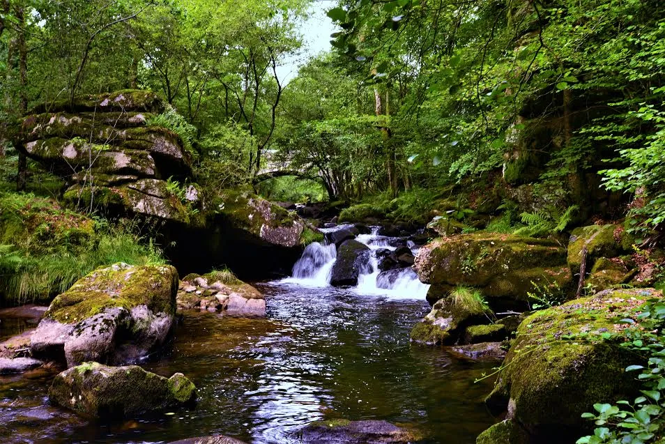 Photo showing: La corrèze au "Saut du Loup" en aval du pont de Franchesse, commune de Saint Yrieix le Déjalat, Massif des Monédières, Corrèze, France.