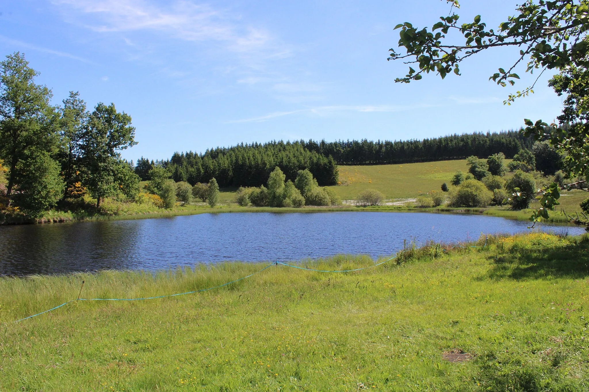 Photo showing: L'étang - retenue d'eau du moulin