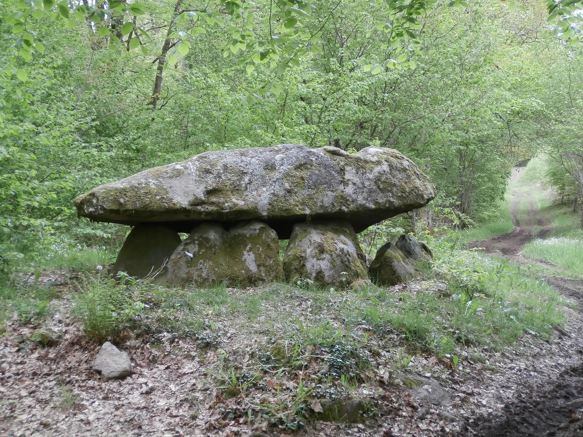 Photo showing: dolmen