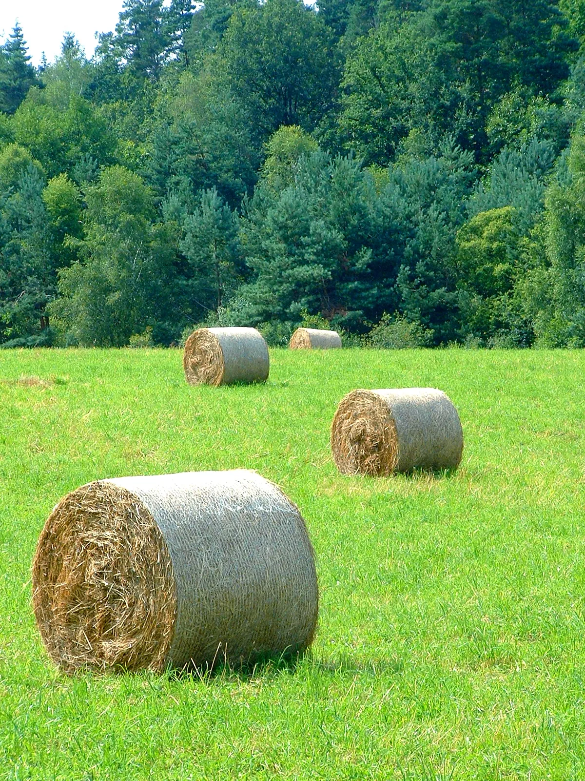 Photo showing: Saint-Hilaire-Foissac, Corrèze 2007.