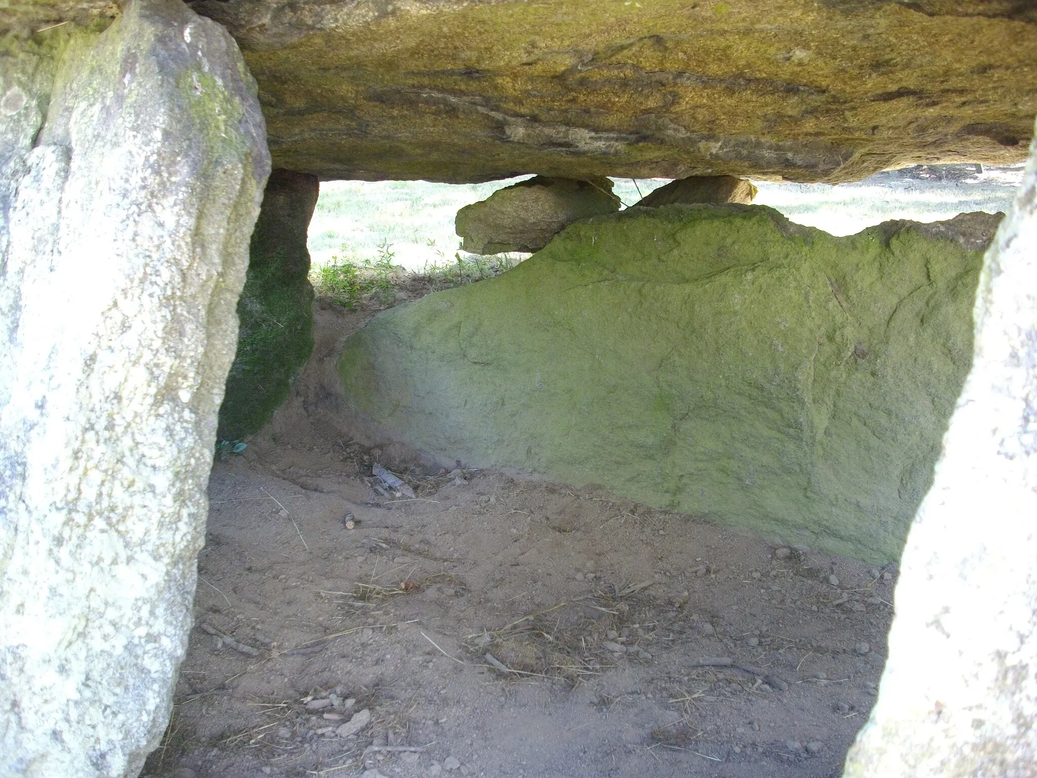 Photo showing: Ménardeix dolmen, in Pionnat (Creuse, France)