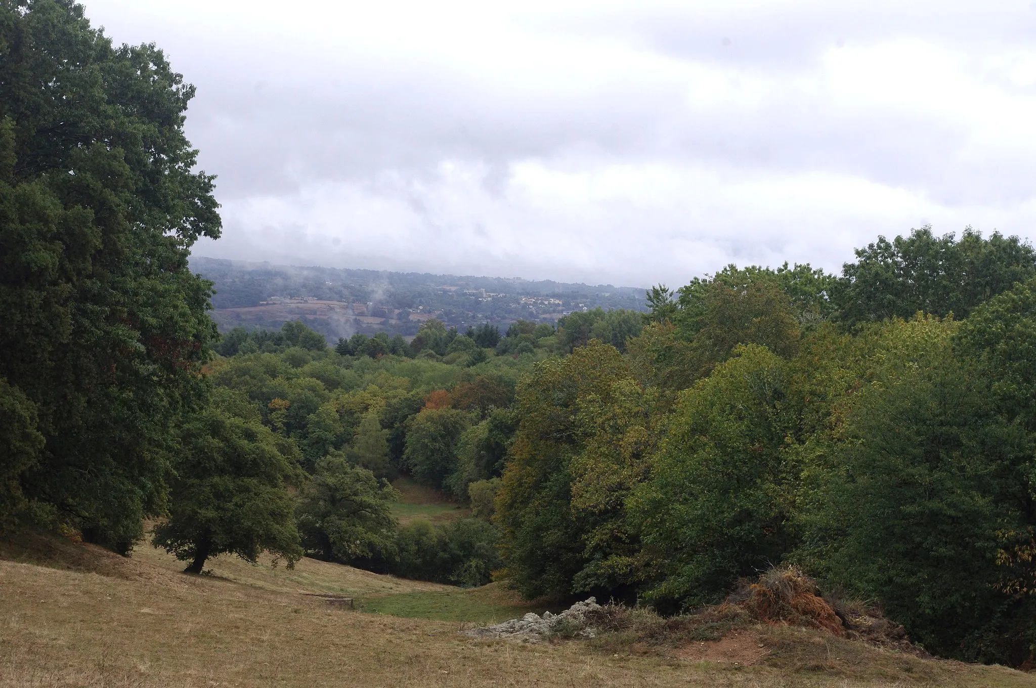 Photo showing: Sainte Marie de Vaux. vue depuis la route menant à lameulière de la chaise du chasseur, Haute-Vienne, France