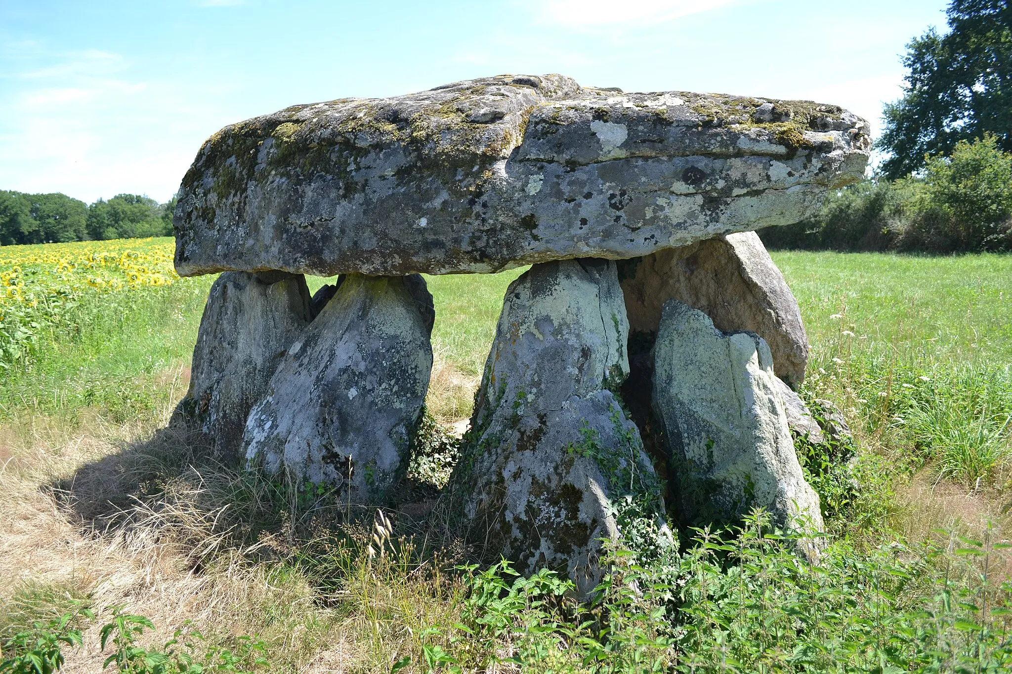 Photo showing: Dolmen de la Bétoulle n°2.