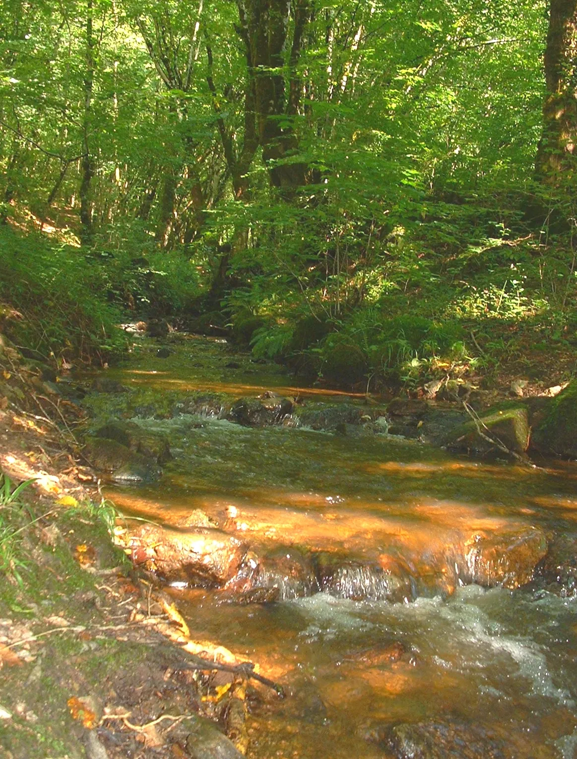 Photo showing: Saint Pantaléon de Lapleau, Corrèze 2007.