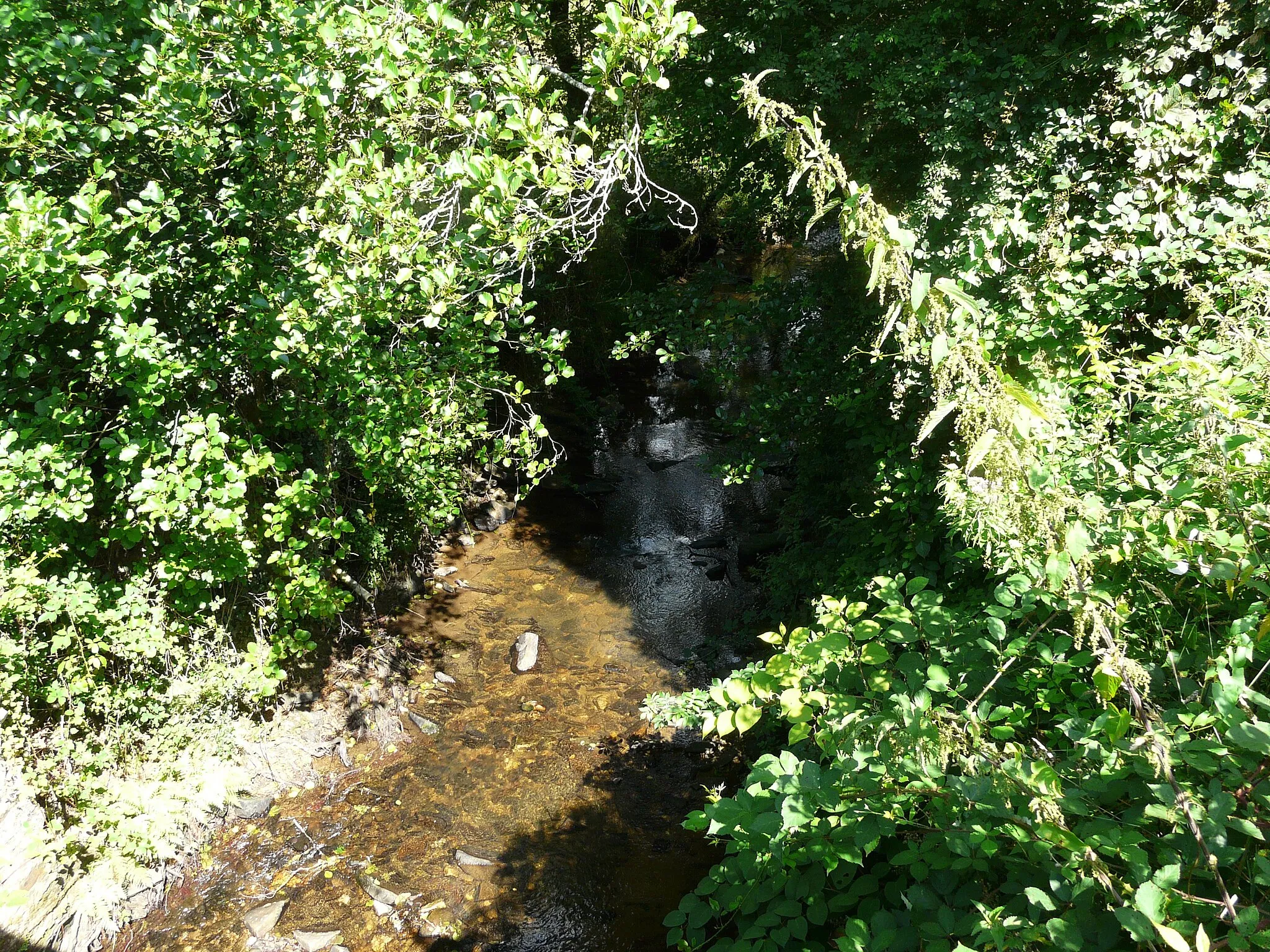 Photo showing: La Rochille (vue vers l'amont) au nord-ouest de Saint-Paul-la-Roche, Dordogne, France