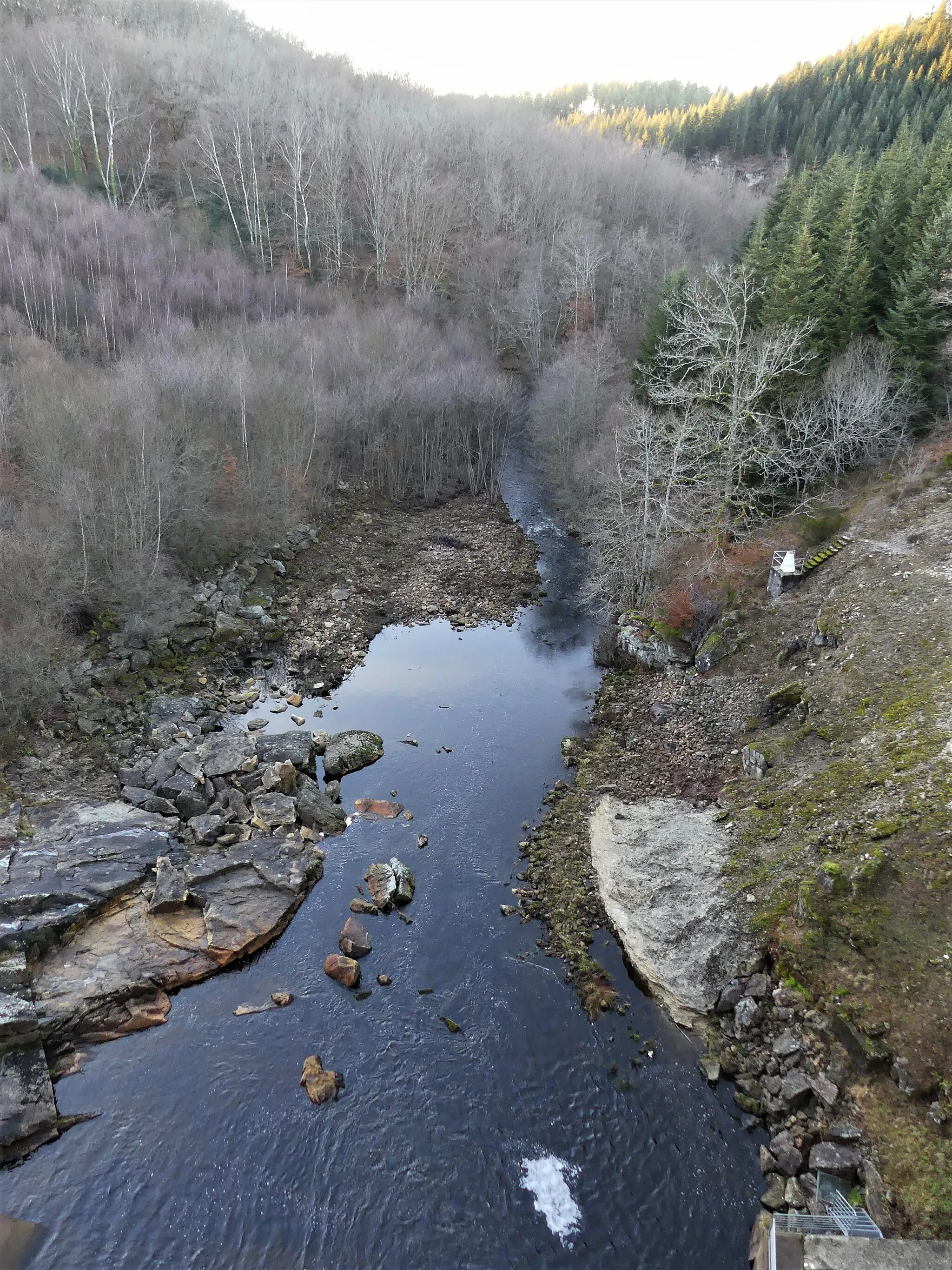 Photo showing: La Vézère juste en aval du barrage de Monceaux la Virolle, communes de Viam (à gauche) et Saint-Hilaire-les-Courbes (en rive opposée), Corrèze, France.