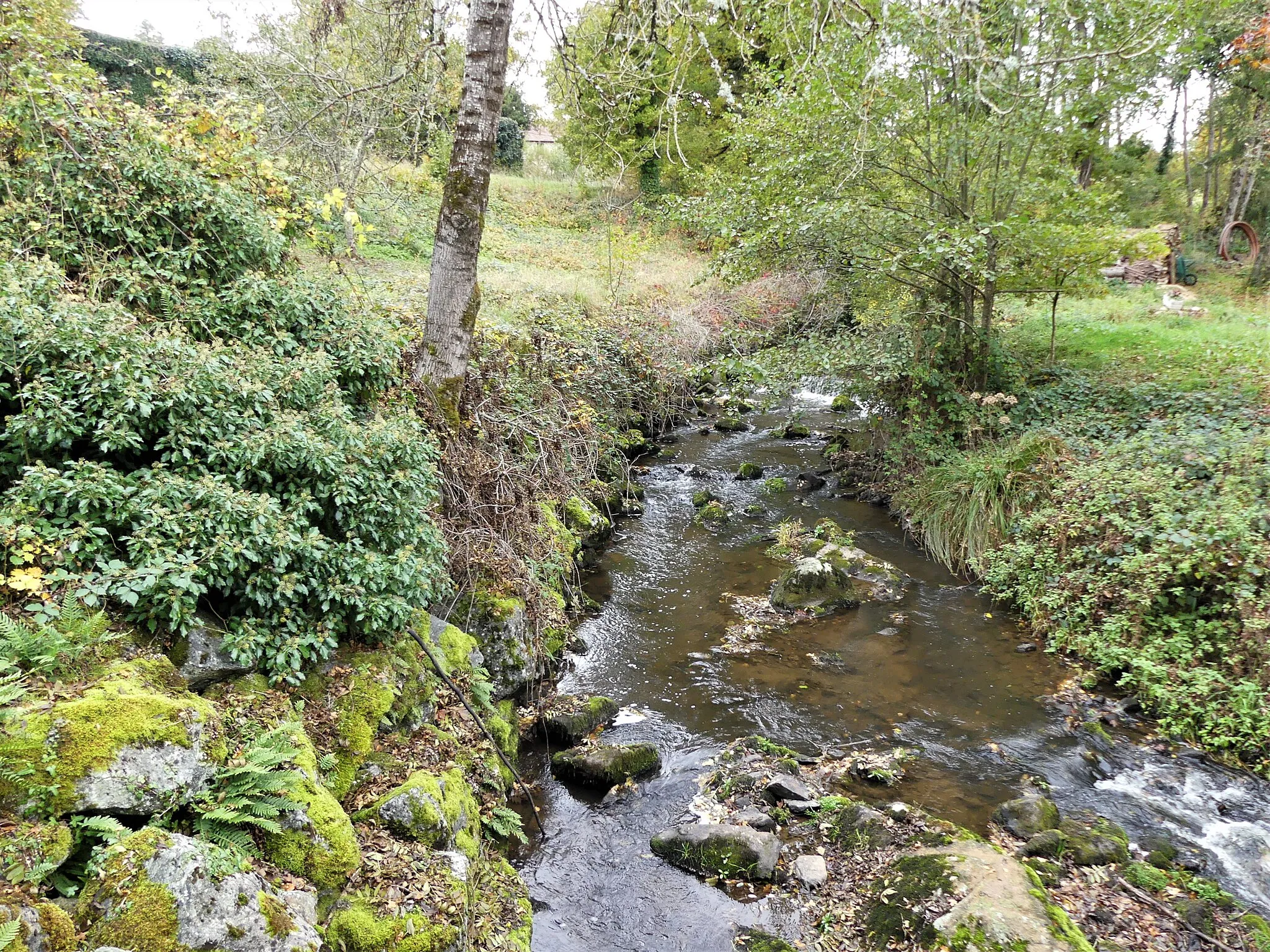 Photo showing: La Naute au lieu-dit les Penots, Saint-Fiel, Creuse, France. Vue prise en direction de l'amont.