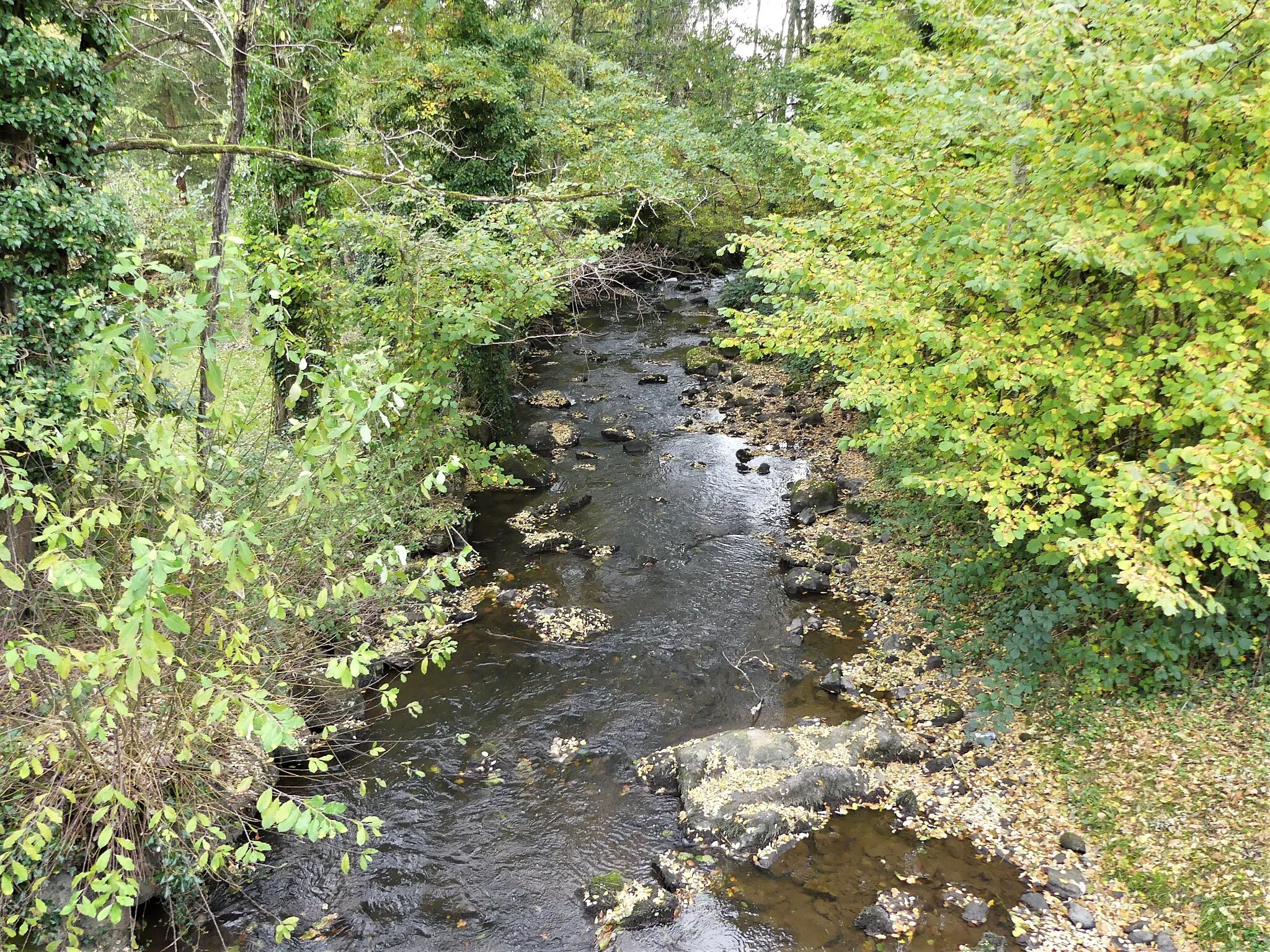 Photo showing: La Naute au lieu-dit le Grand Moulin, au pont de la route départementale 75a, Saint-Fiel, Creuse, France. Vue prise en direction de l'aval.