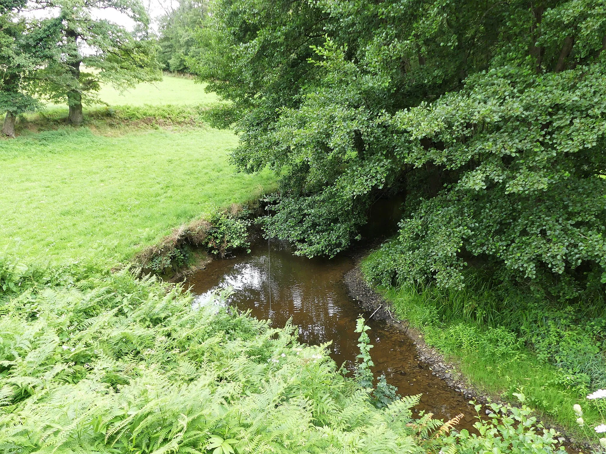 Photo showing: La Brézentine au lieu-dit les Soches, au pont de la route départementale 951, en limite de Colondannes (à gauche) et Sagnat (en rive opposée), Creuse, France. Vue prise en direction de l'amont.