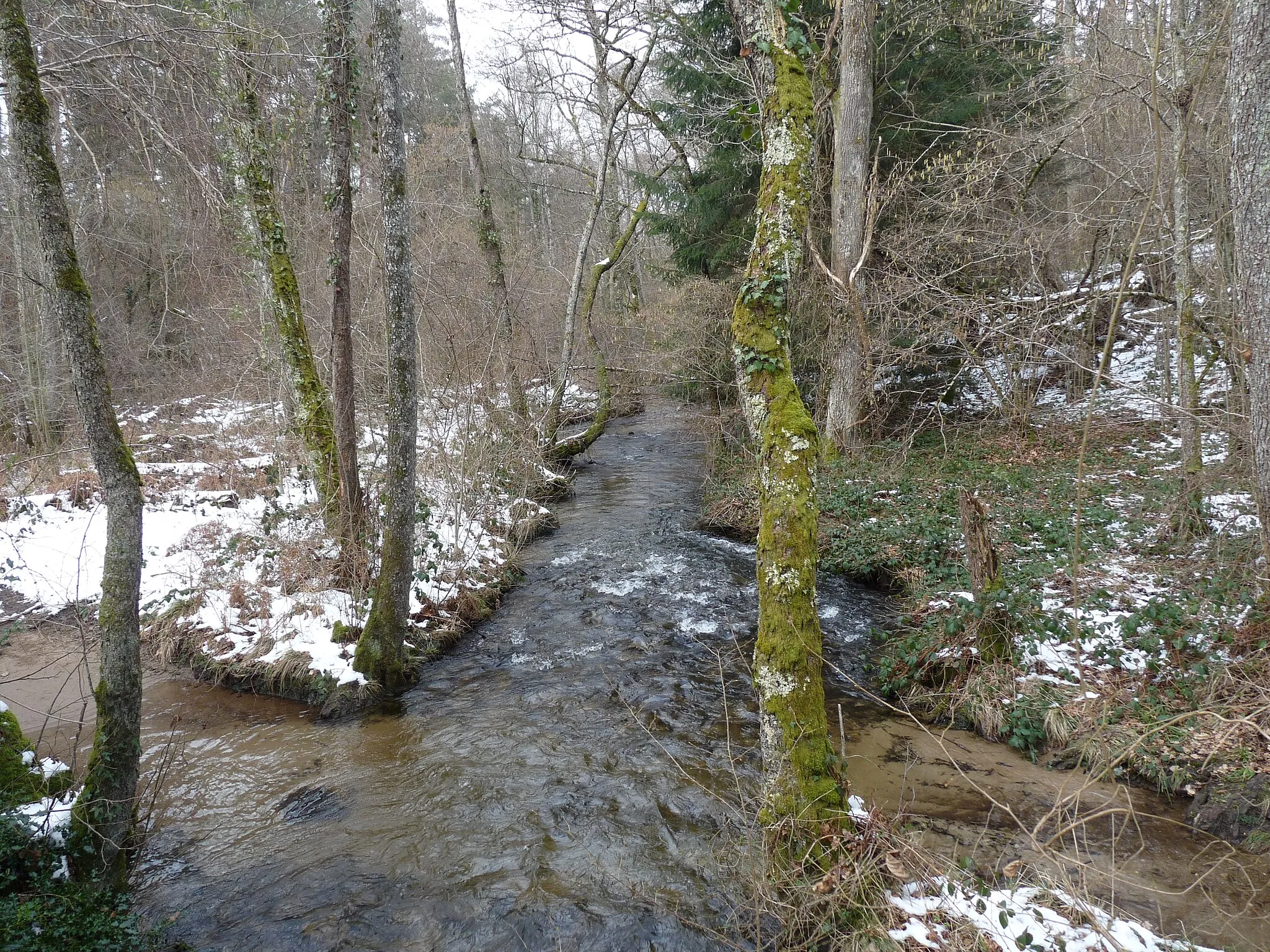 Photo showing: Le Moulard affluent de la rivière Ardour