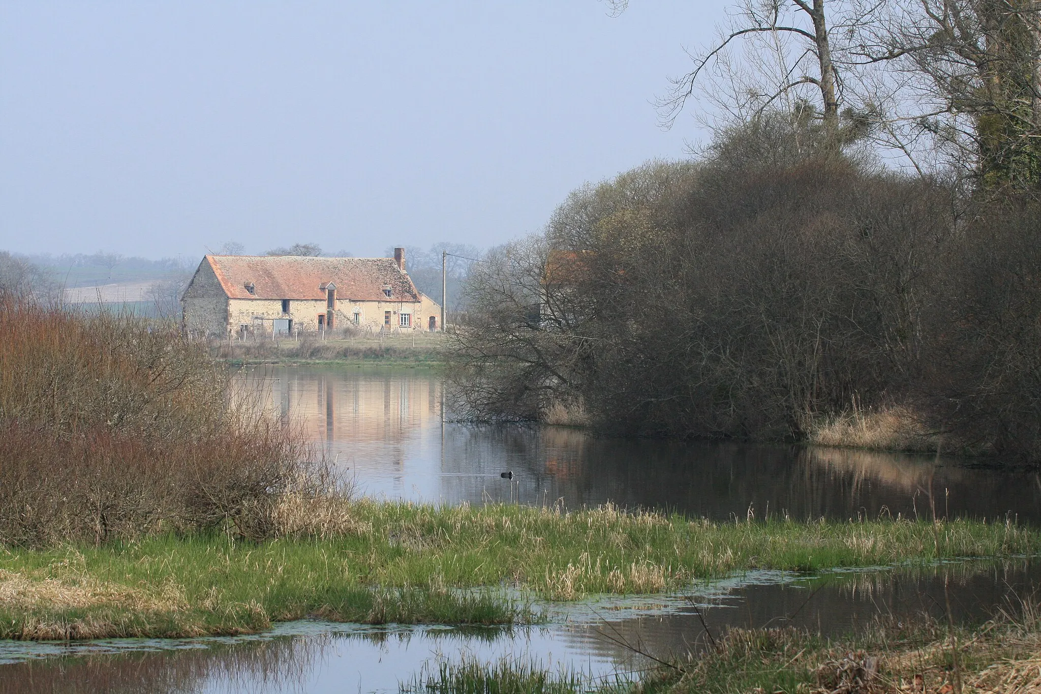 Photo showing: Etang des landes dans le département de la Creuse, France