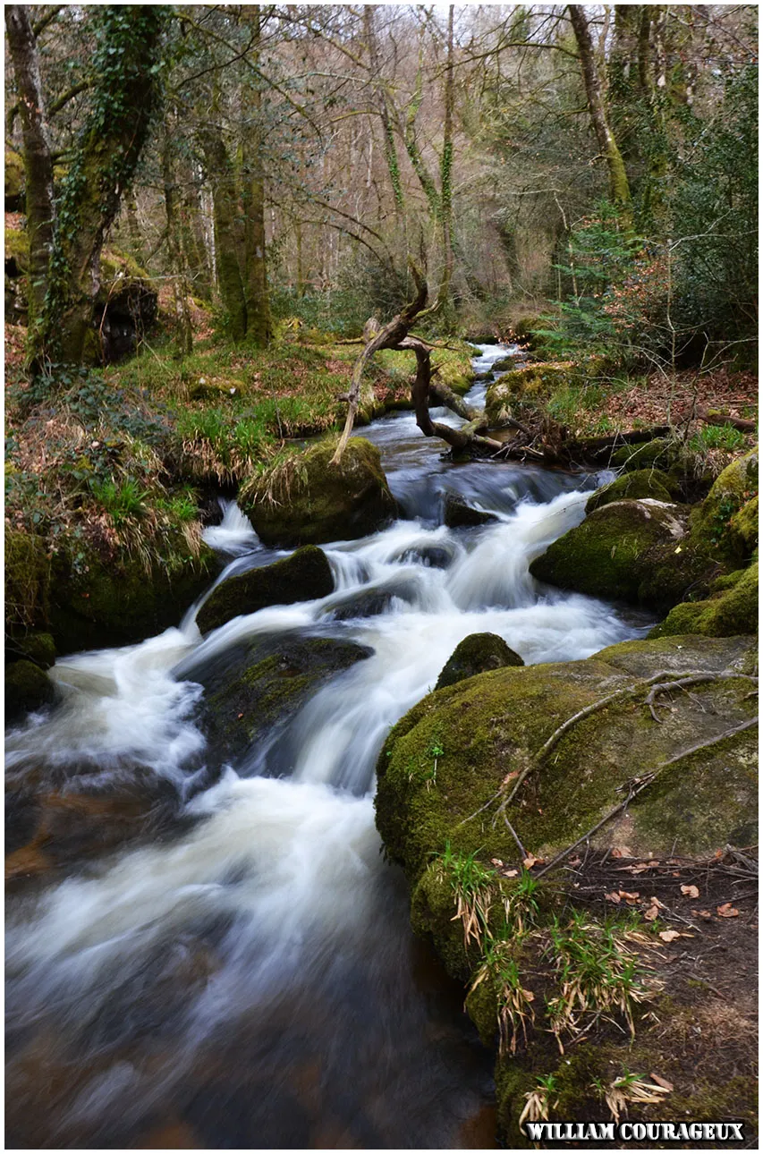 Photo showing: Les cascades d'Augerolles, vu en bas de la vallée.