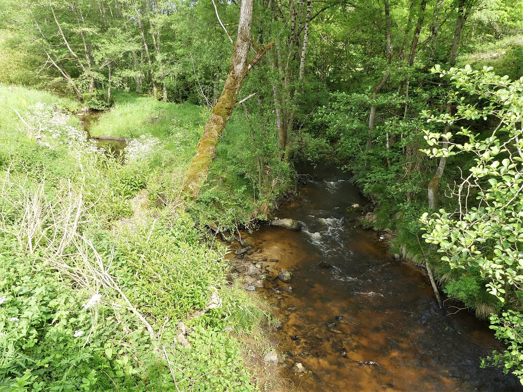 Photo showing: La Beauze au sud du lieu-dit Mergoux, Saint-Marc-à-Frongier, Creuse, France. Vue prise en direction de l'amont.