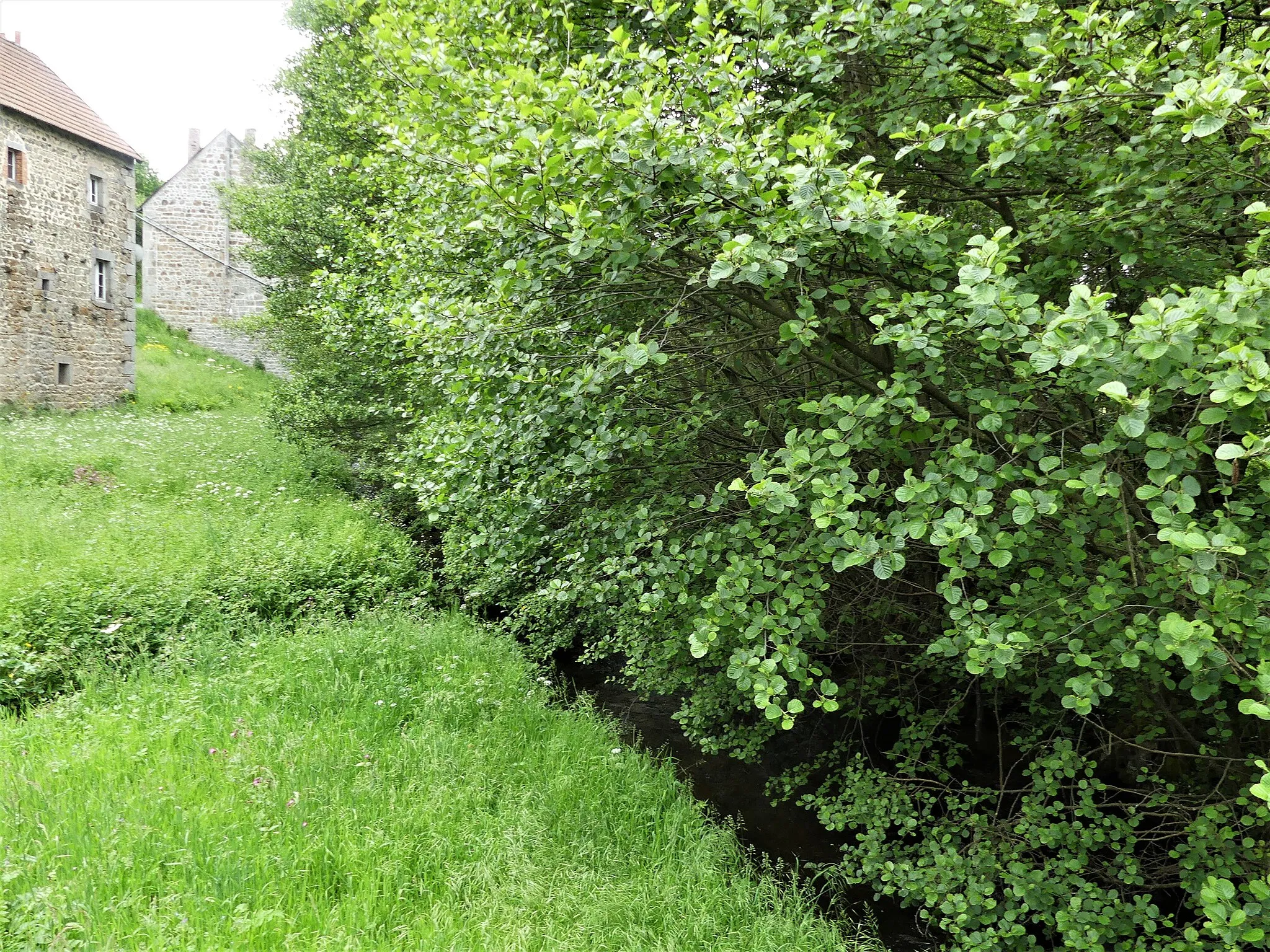 Photo showing: La Rozeille en amont du pont de la route départementale 90, Magnat-l'Étrange, Creuse, France.