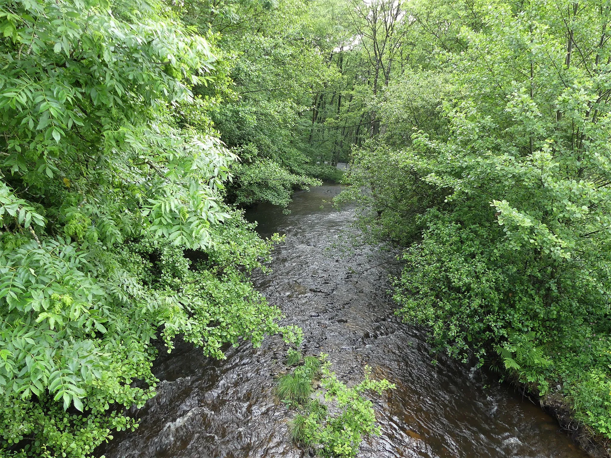 Photo showing: La Creuse sur la commune de Croze, département de la Creuse, France. Vue prise en direction de l'amont.