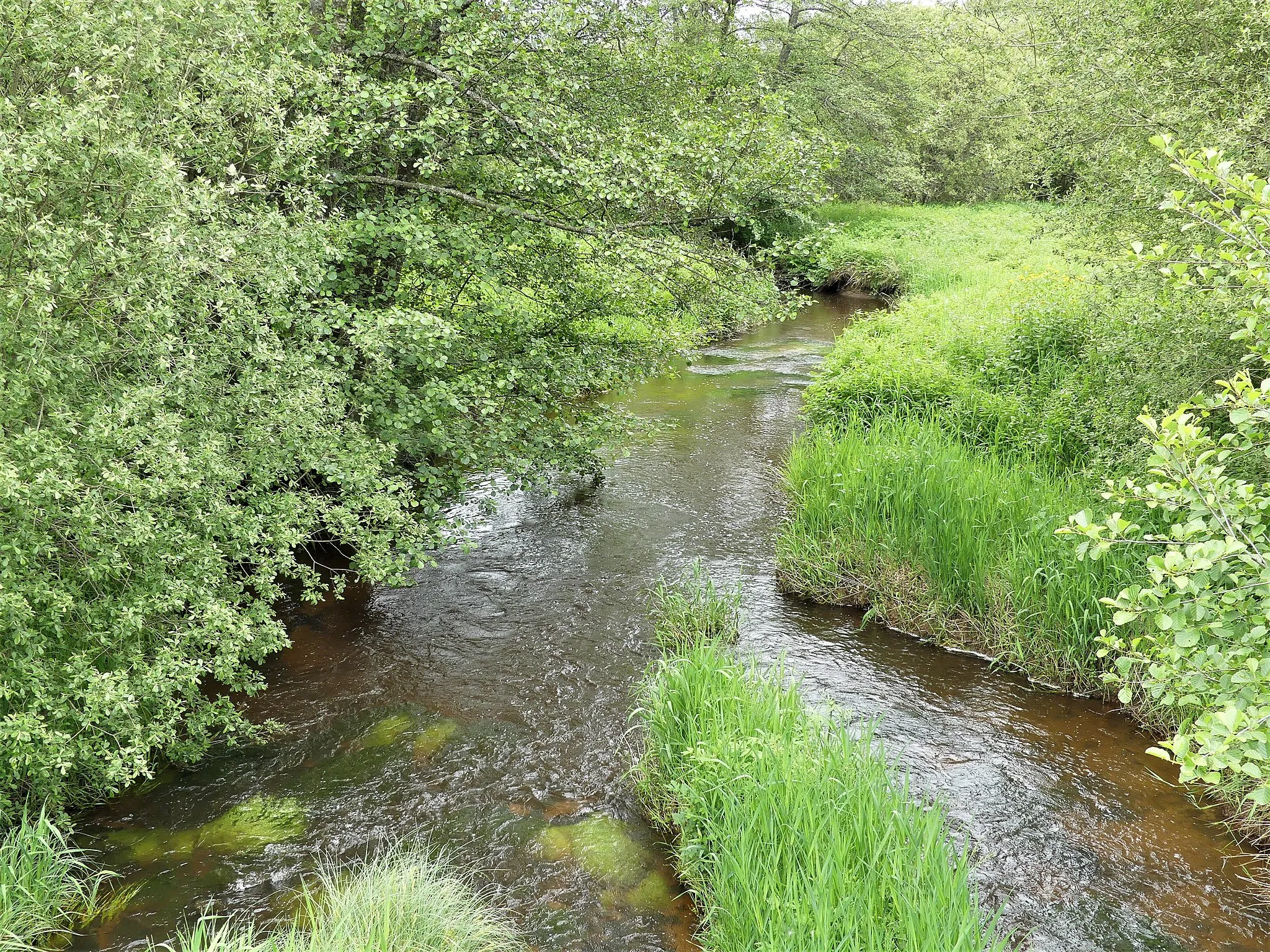 Photo showing: La Méouzette au pont près du lieu-dit Ganne Courtioux, Saint-Merd-la-Breuille, Creuse, France. Vue prise en direction de l'amont.