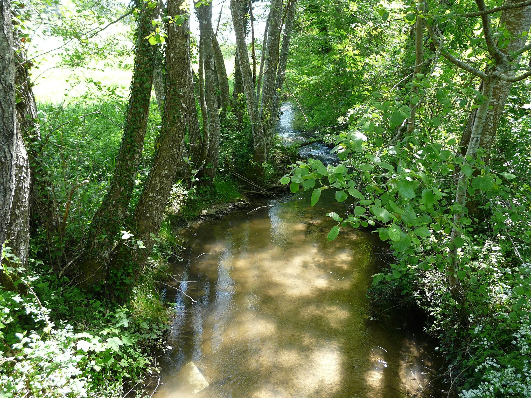 Photo showing: La Laurence en aval du pont menant au Basty, Thenon, Dordogne, France.