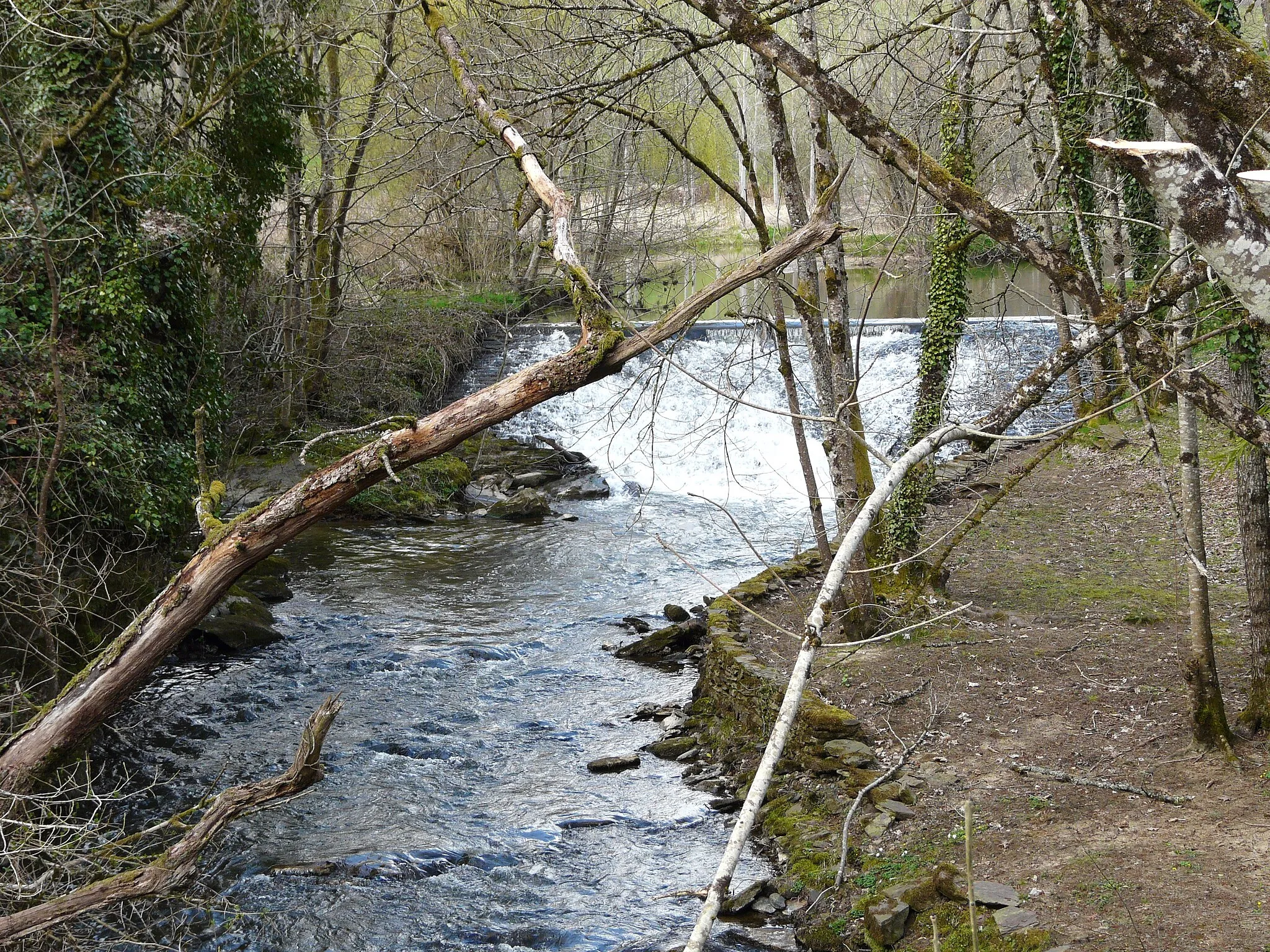 Photo showing: La rivière la Loue au moulin de Beausoleil, marque la limite entre Sarlande (à gauche) et Angoisse (à droite), Dordogne, France. Vue vers l'amont.