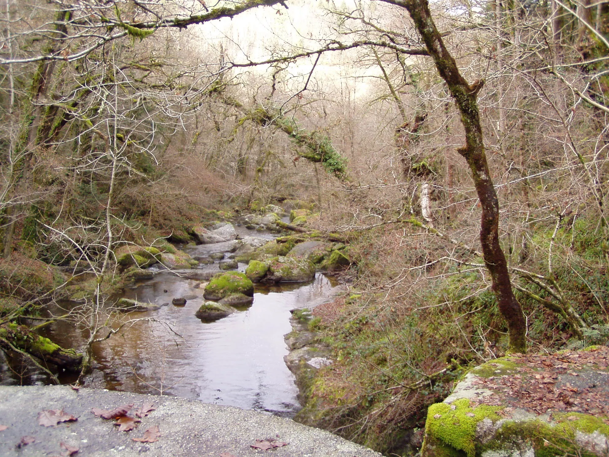 Photo showing: La Maulde au pied de la cascade des Jarrauds, dans le département de la Creuse