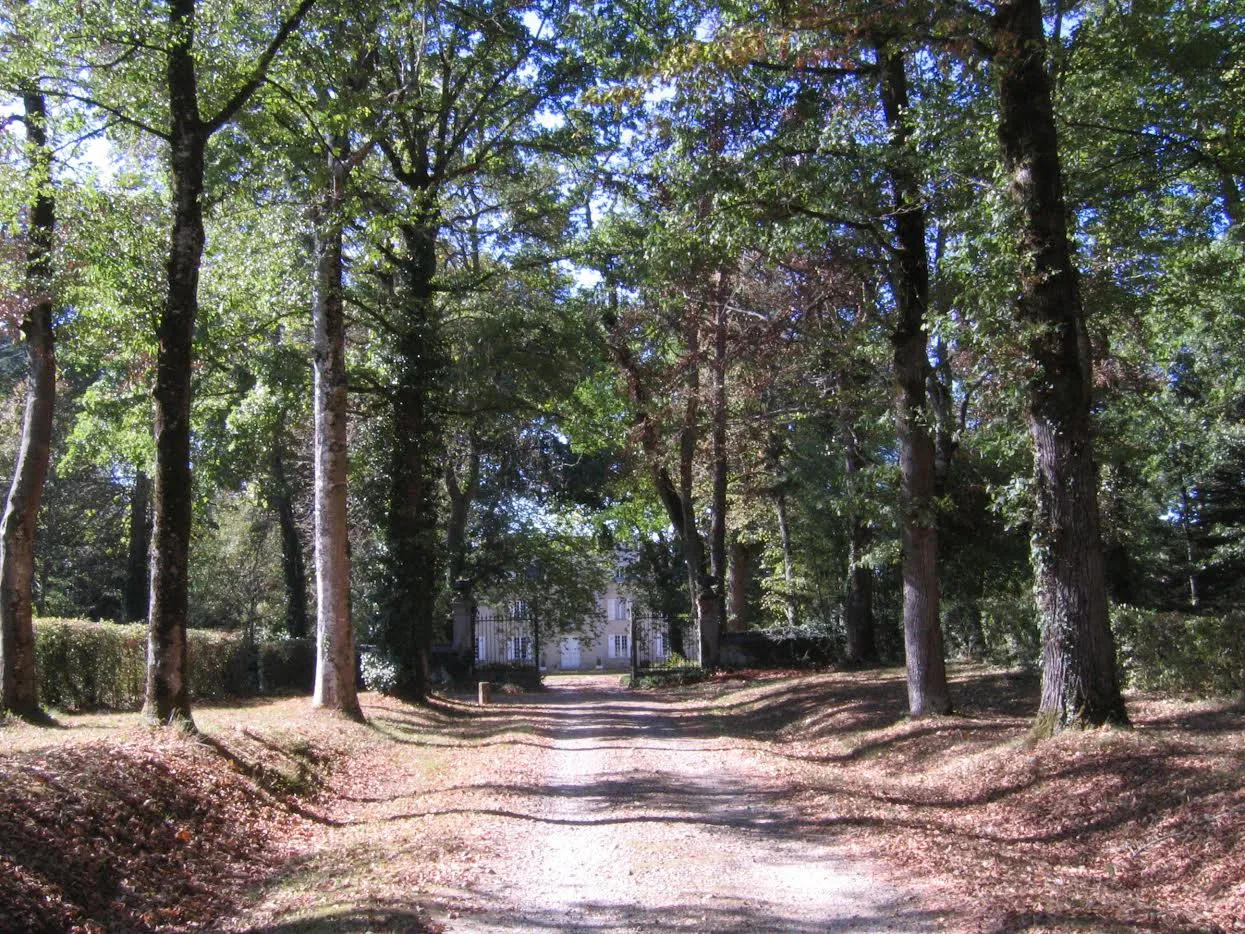 Photo showing: Château de Leymarie