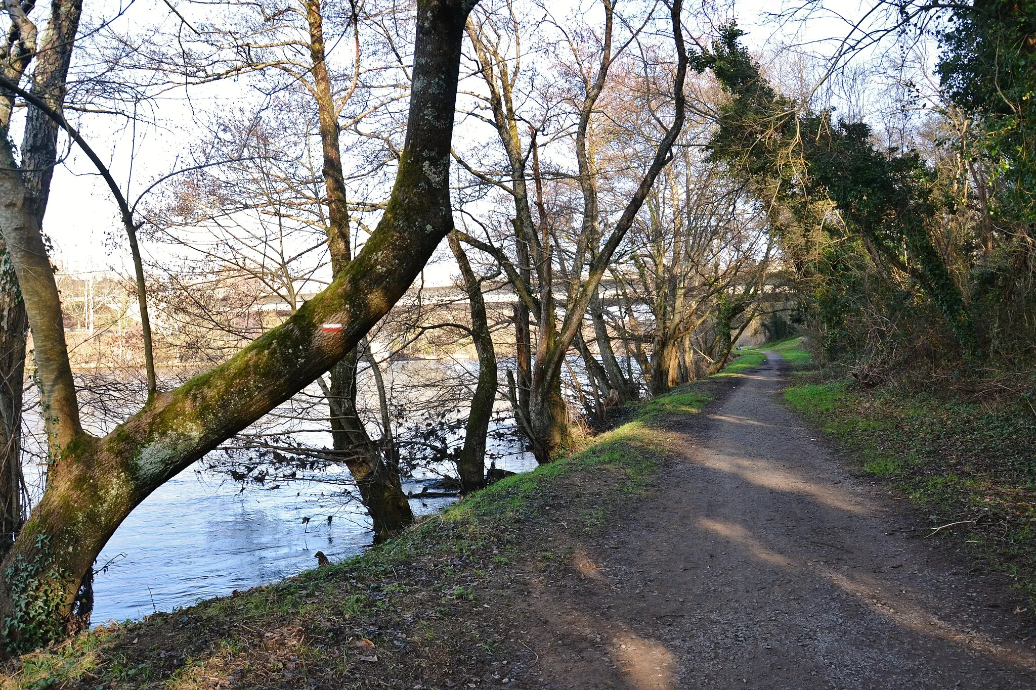 Photo showing: Le chemin piéton en bord de Vienne (rive gauche), vers l'amont (Soudanas, commune de Panazol)