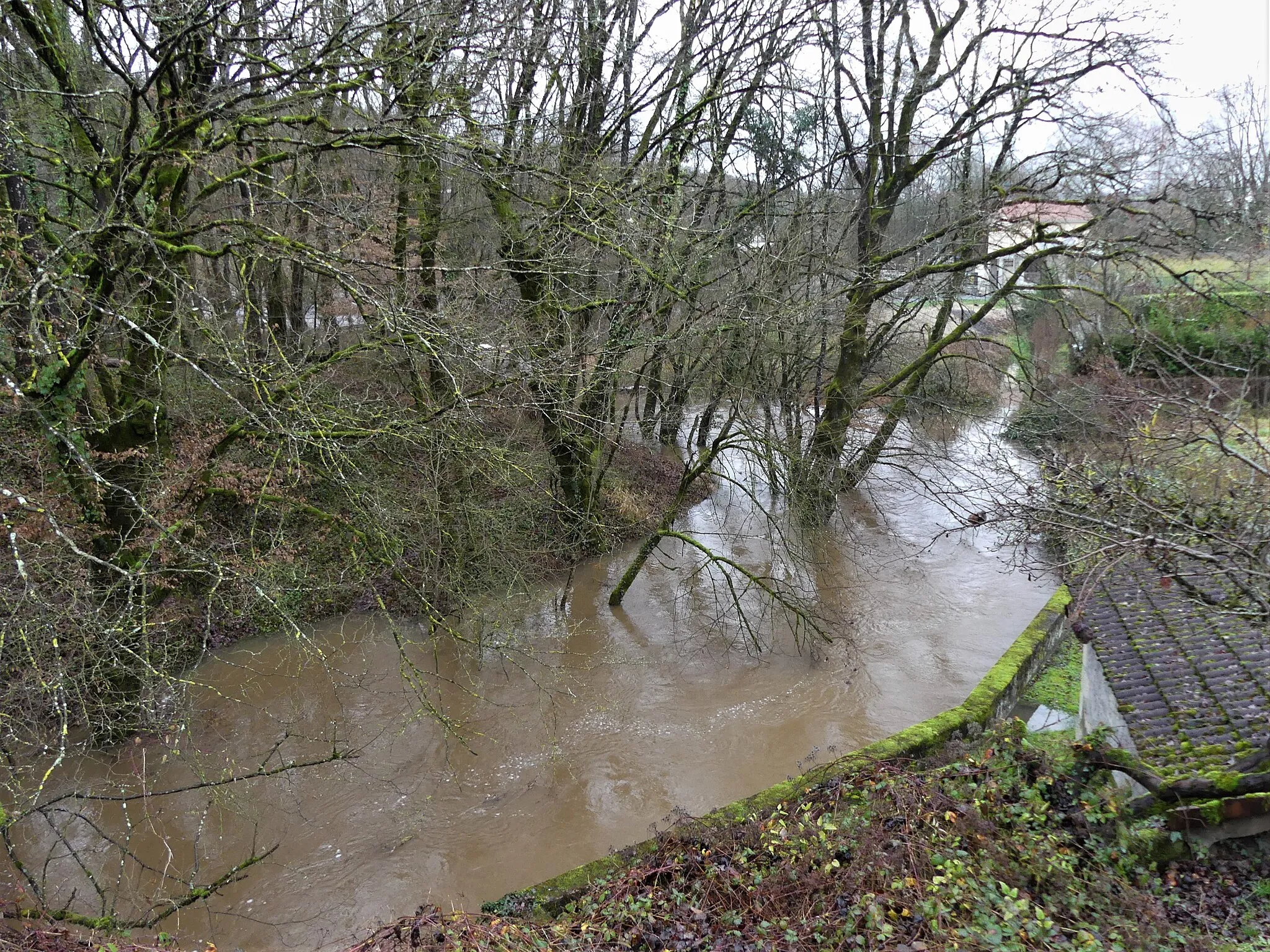 Photo showing: Le Cern en crue en amont du pont de la route départementale 704, Le Lardin-Saint-Lazare, Dordogne, France.