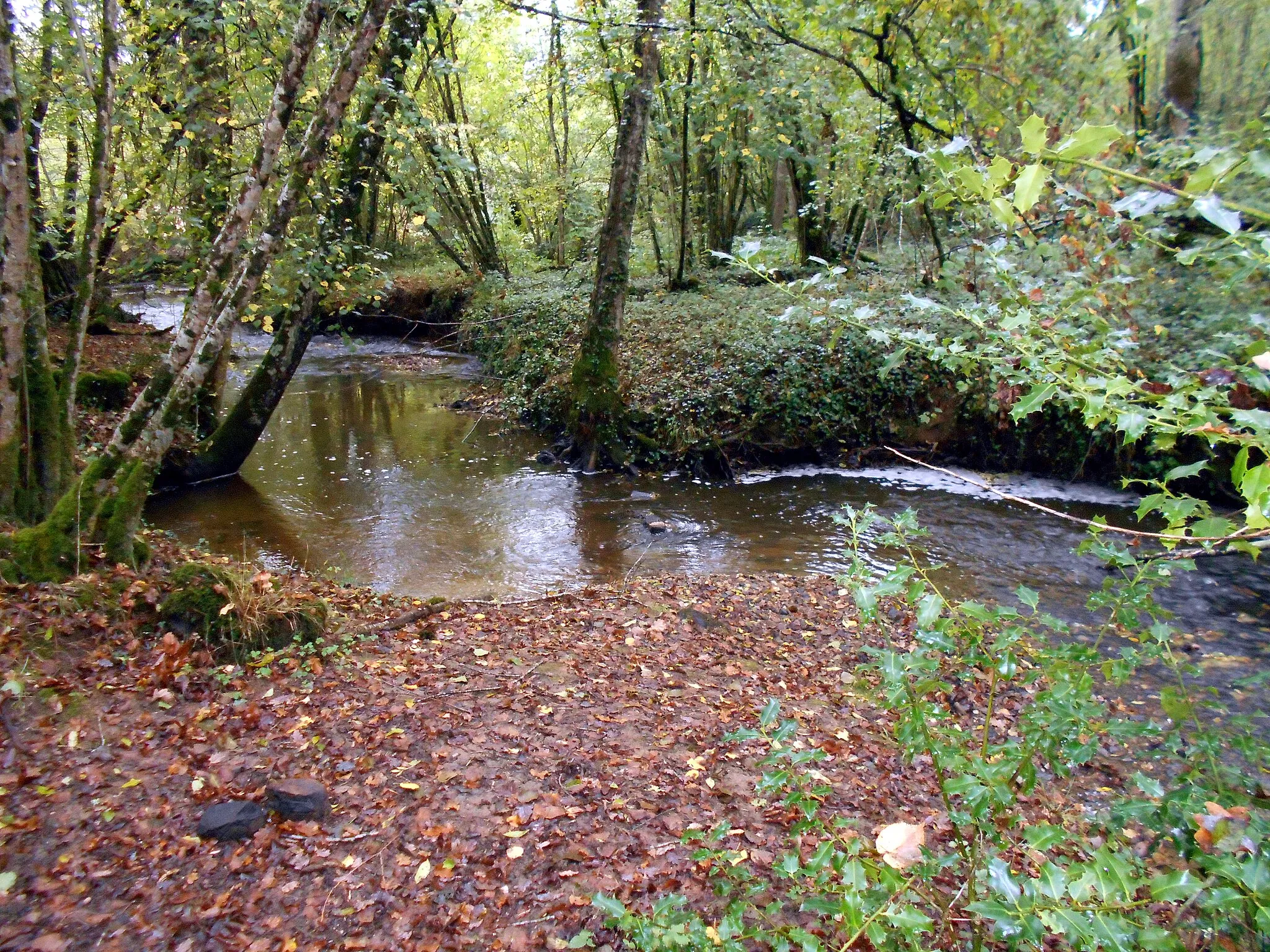 Photo showing: Le ruisseau Felix. Sentier d'interprétation de Mayéras, commune Verneuil-sur-Vienne, Haute-Vienne, France.