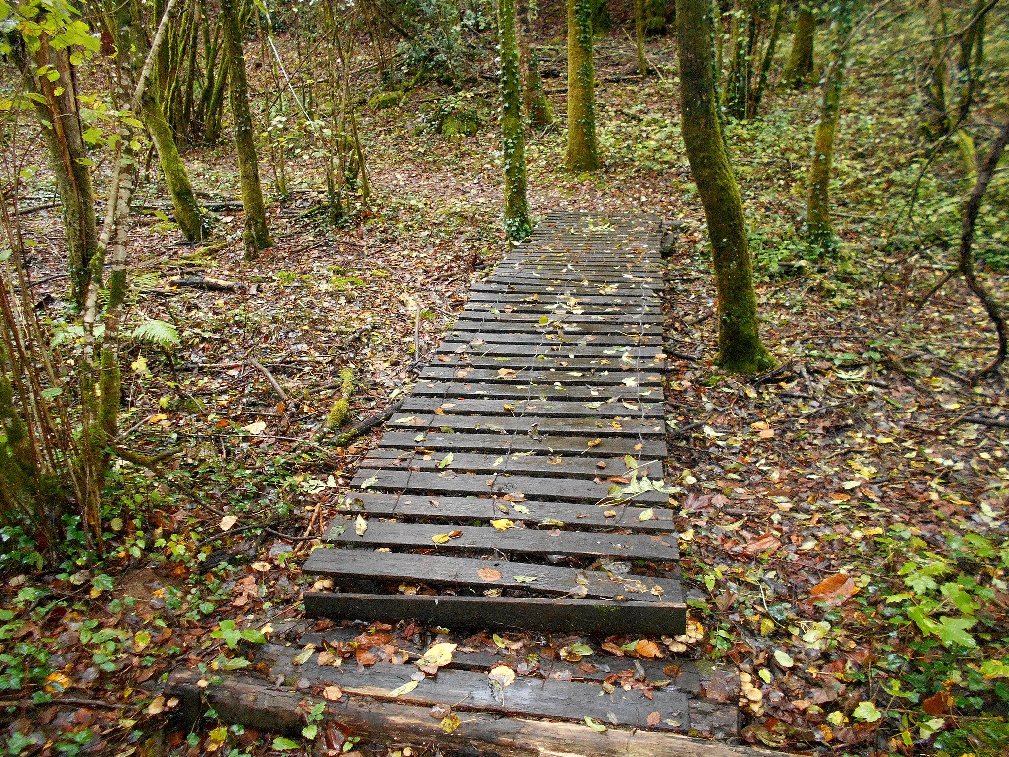 Photo showing: Sentier d'interprétation de Mayéras, commune Verneuil-sur-Vienne, Haute-Vienne, France.