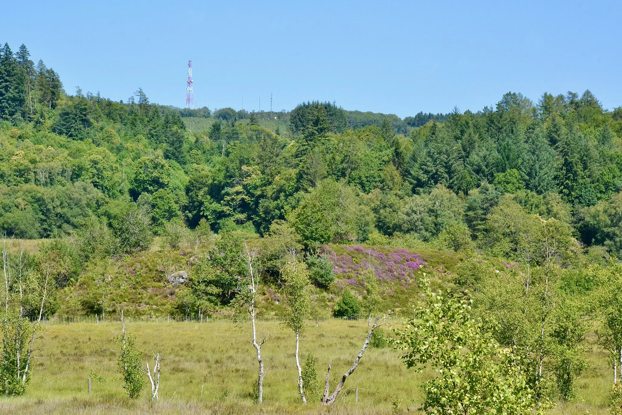 Photo showing: L'antenne du puy de Sauvagnac, depuis la Réserve naturelle nationale de la tourbière des Dauges (Haute-Vienne, France).