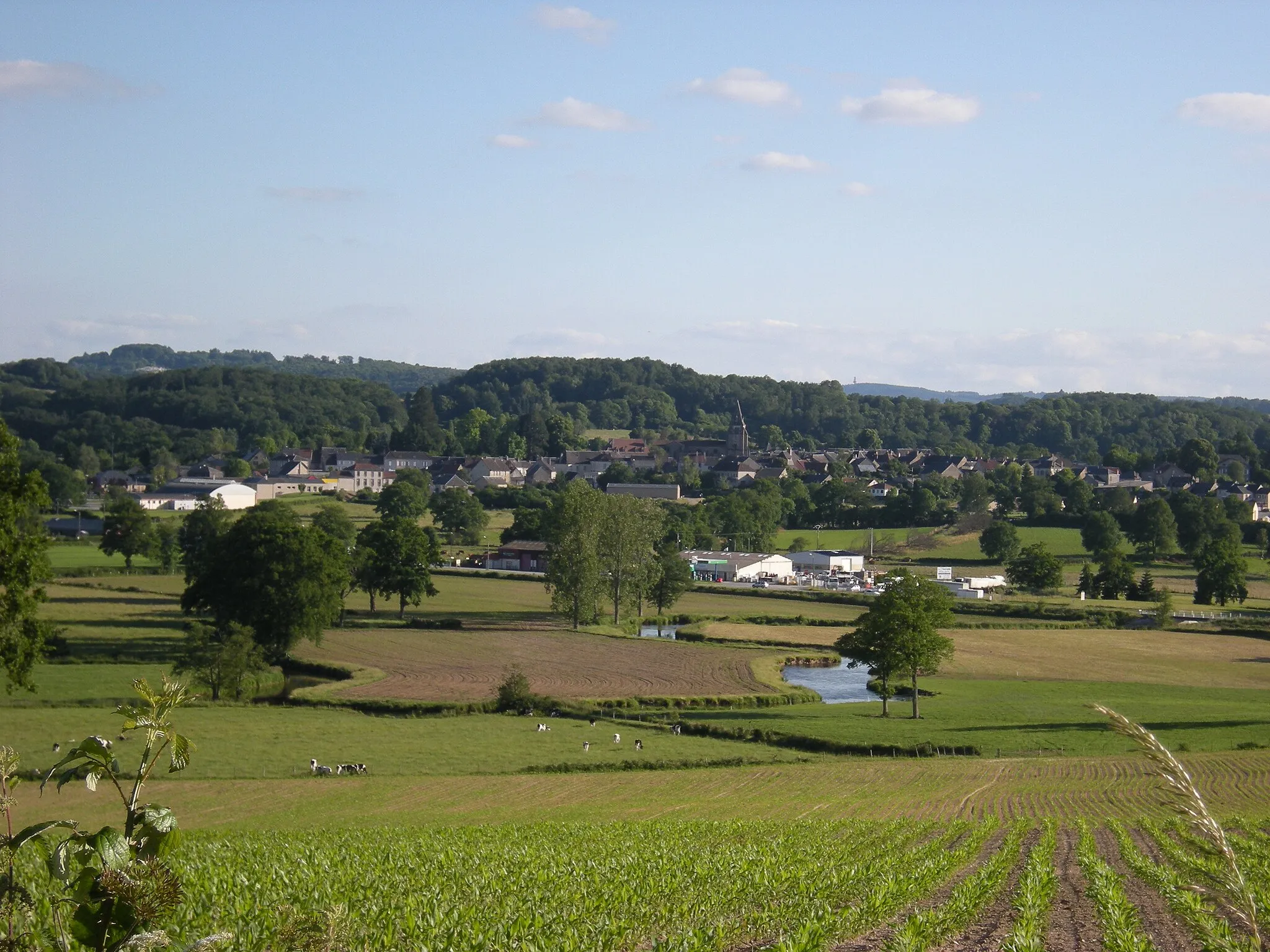 Photo showing: Le bourg du Grand-Bourg vu depuis le village d'Ardannes. On distingue au premier plan la rivière Gartempe. Au second plan apparaît la zone artisanale, et plus loin le bourg regroupé autour de la collégiale Notre-Dame.