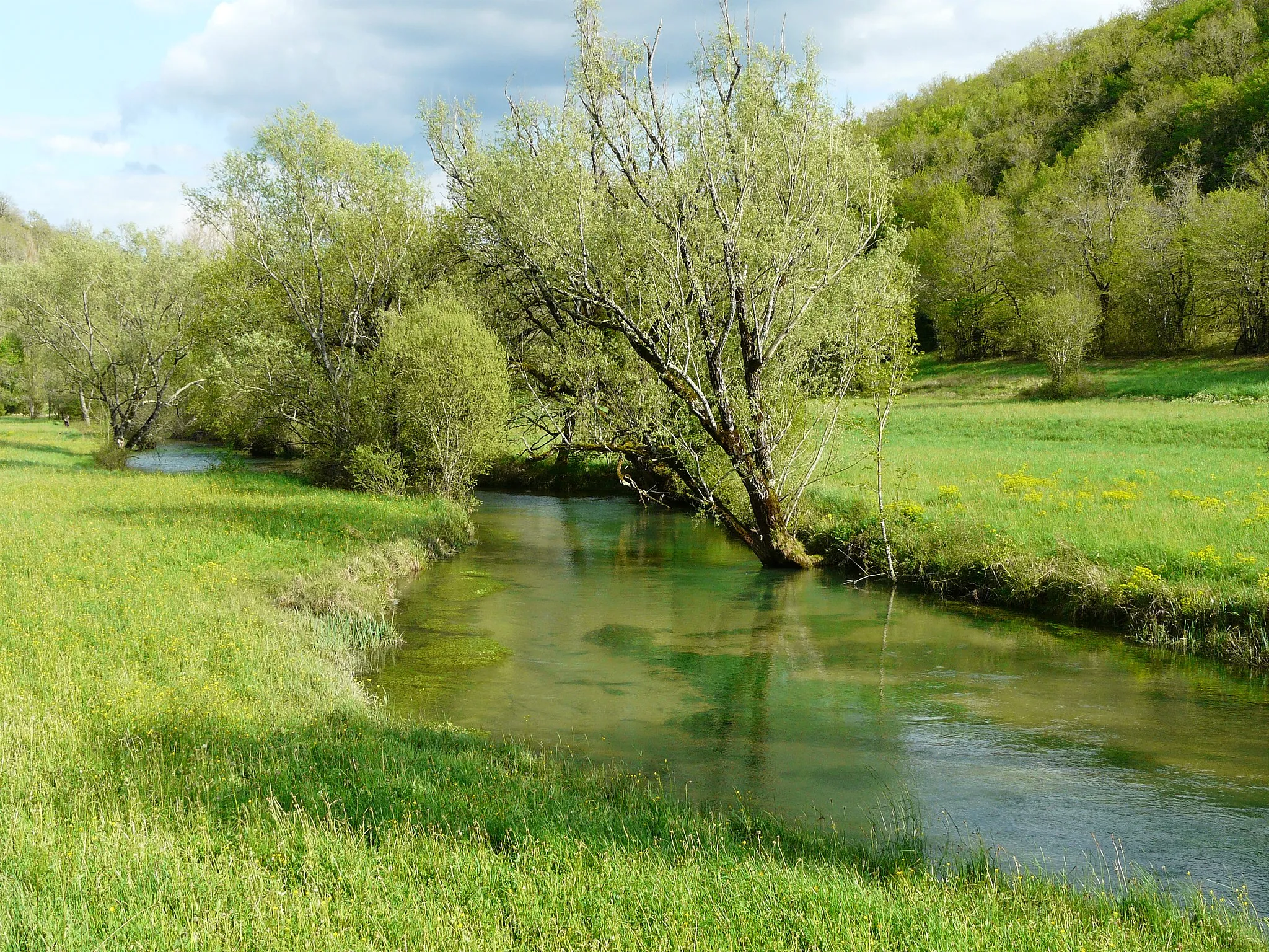 Photo showing: Le Coly, un kilomètre en contrebas de sa résurgence, le long de la route départementale 62, La Cassagne, Dordogne, France. Vue vers l'amont.