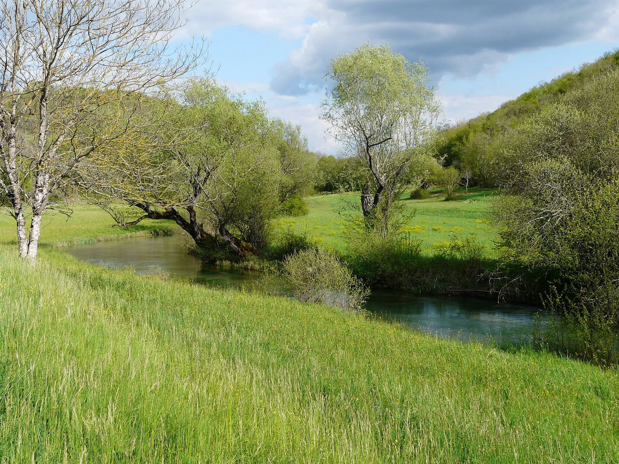 Photo showing: Le Coly, un kilomètre en contrebas de sa résurgence, le long de la route départementale 62, La Cassagne, Dordogne, France. Vue vers l'amont.