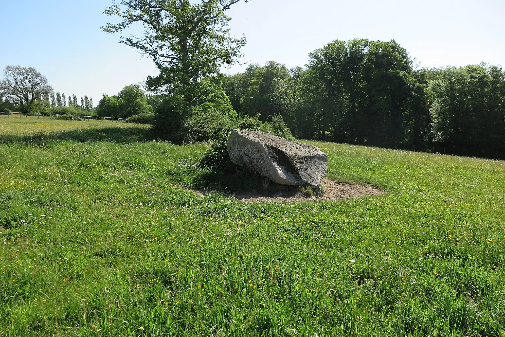 Photo showing: Belle dalle ; dans un pré clos